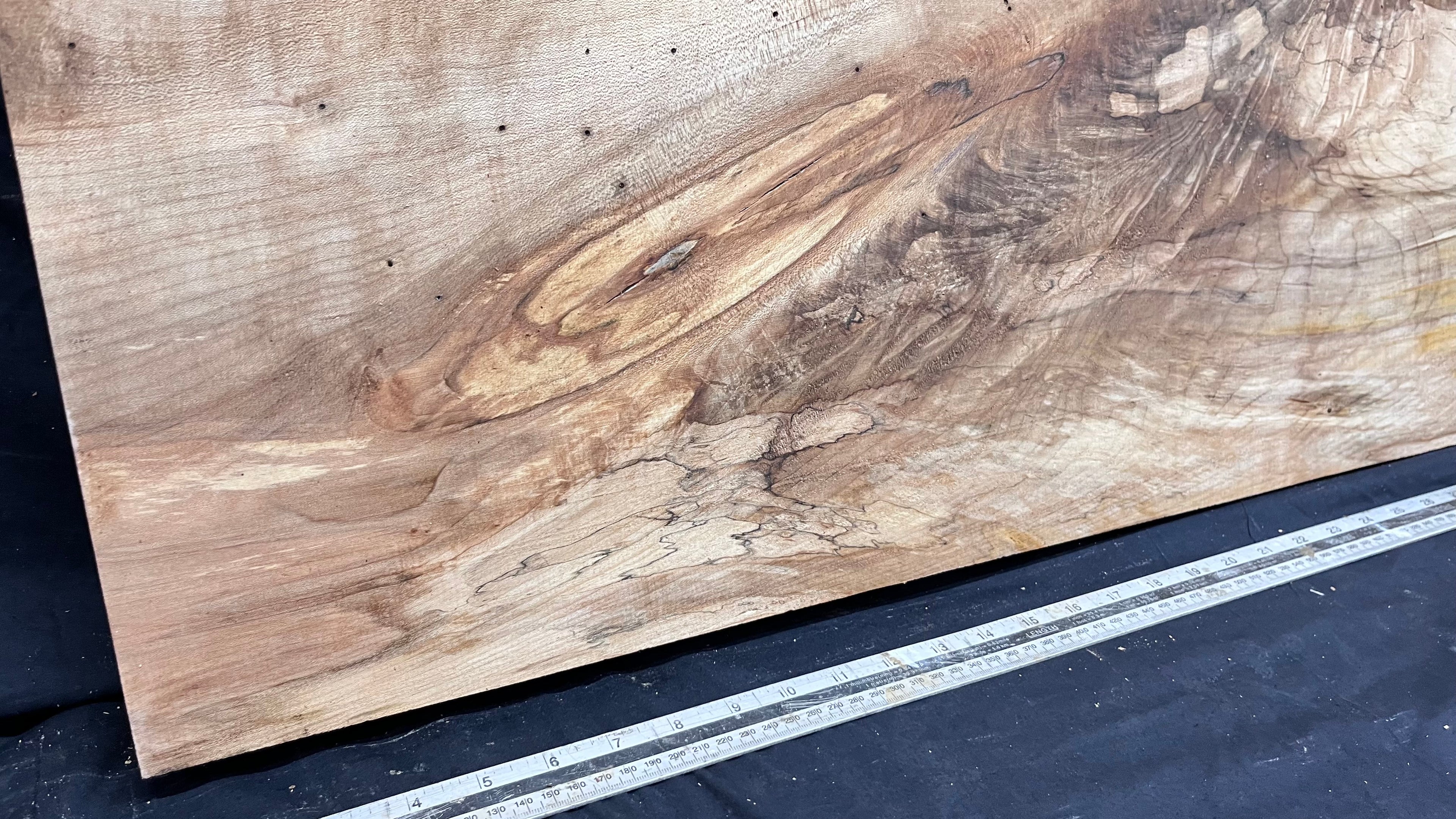 Sycamore wide plank, slab wood 1033 L x 507 W x 47 D (mm)    (304)