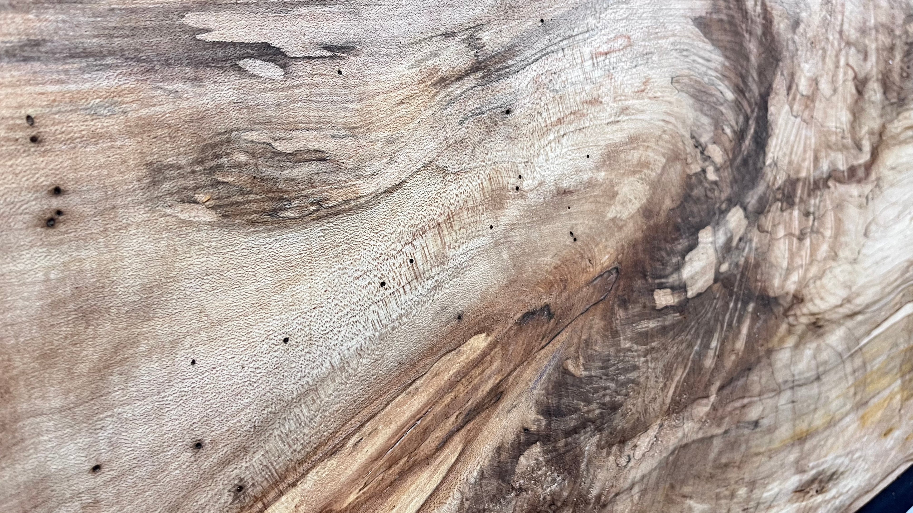 Sycamore wide plank, slab wood 1033 L x 507 W x 47 D (mm)    (304)