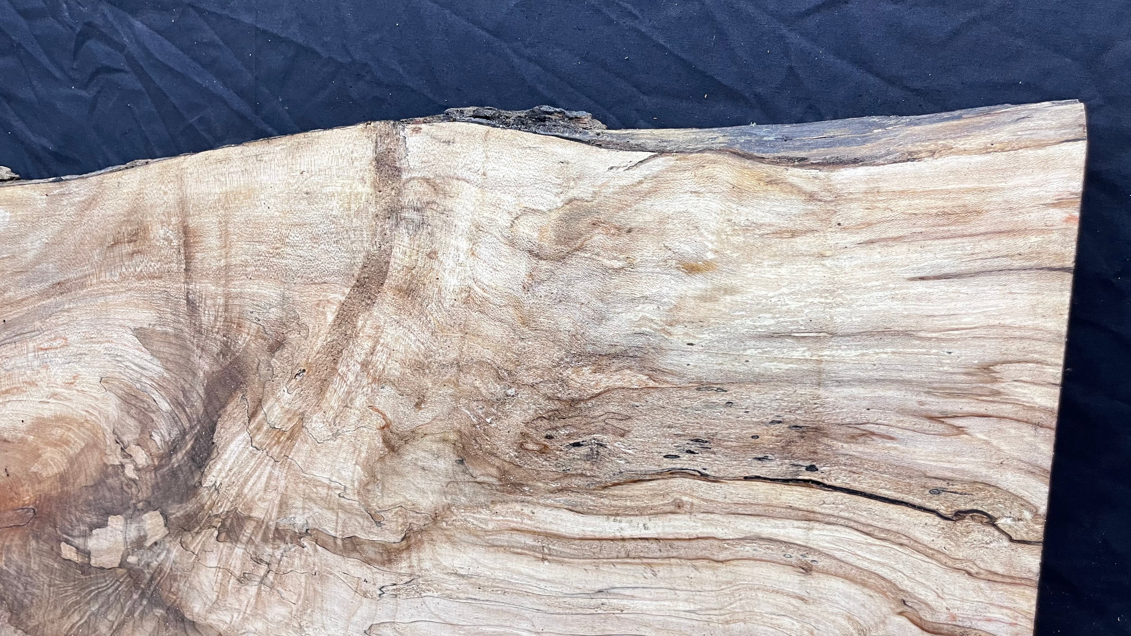 Sycamore wide plank, slab wood 1033 L x 507 W x 47 D (mm)    (304)