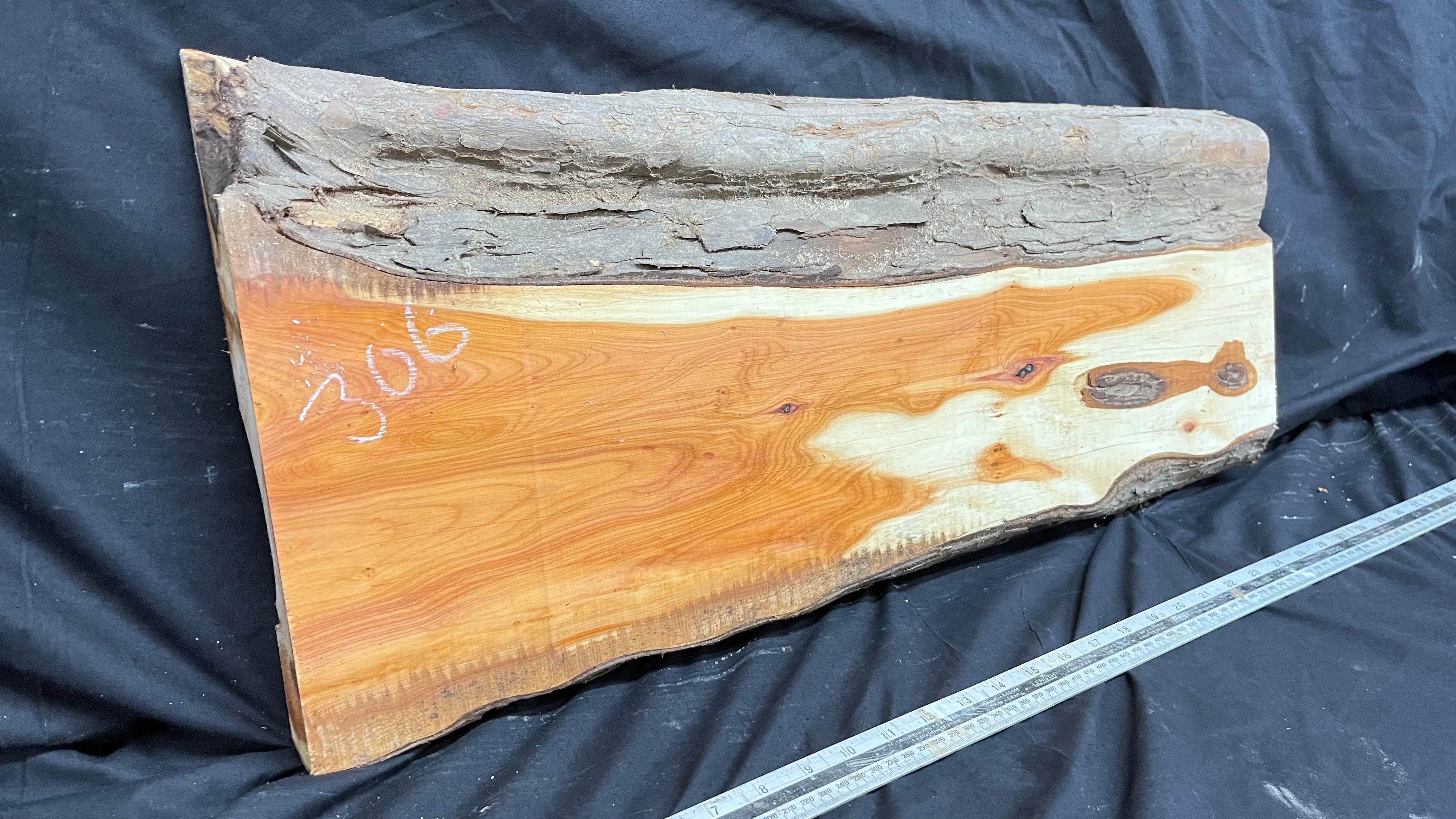 Hardwood yew, slab, board 670 L x 303 W x 43 D mm    (306)
