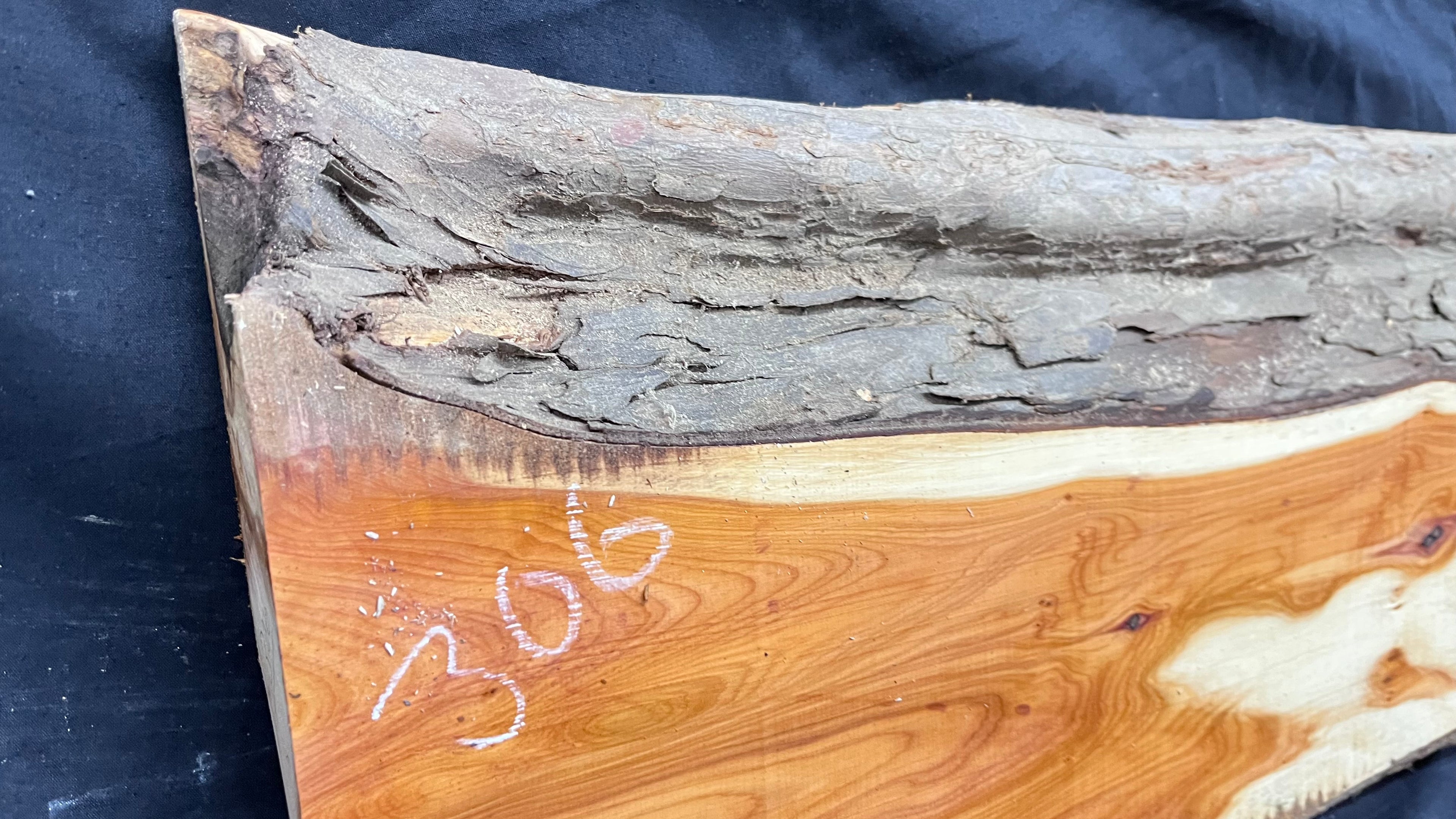 Hardwood yew, slab, board 670 L x 303 W x 43 D mm    (306)