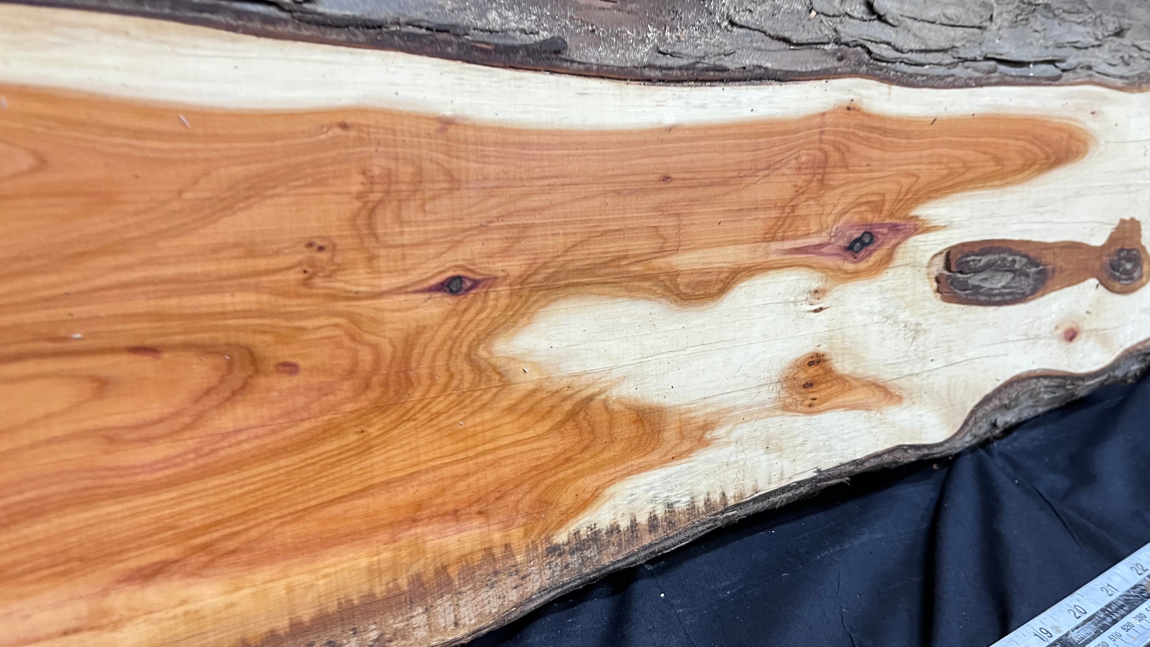 Hardwood yew, slab, board 670 L x 303 W x 43 D mm    (306)