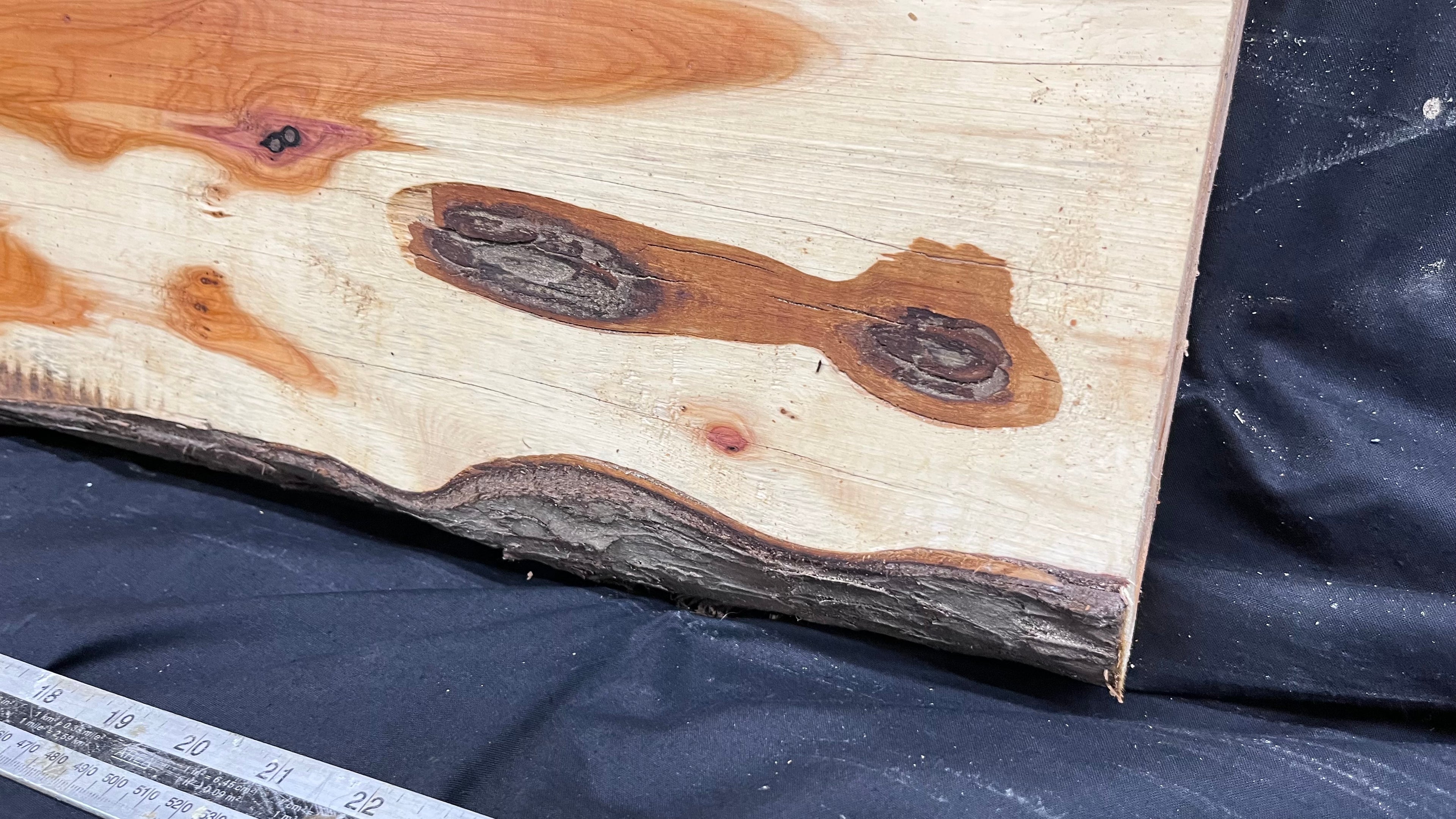 Hardwood yew, slab, board 670 L x 303 W x 43 D mm    (306)