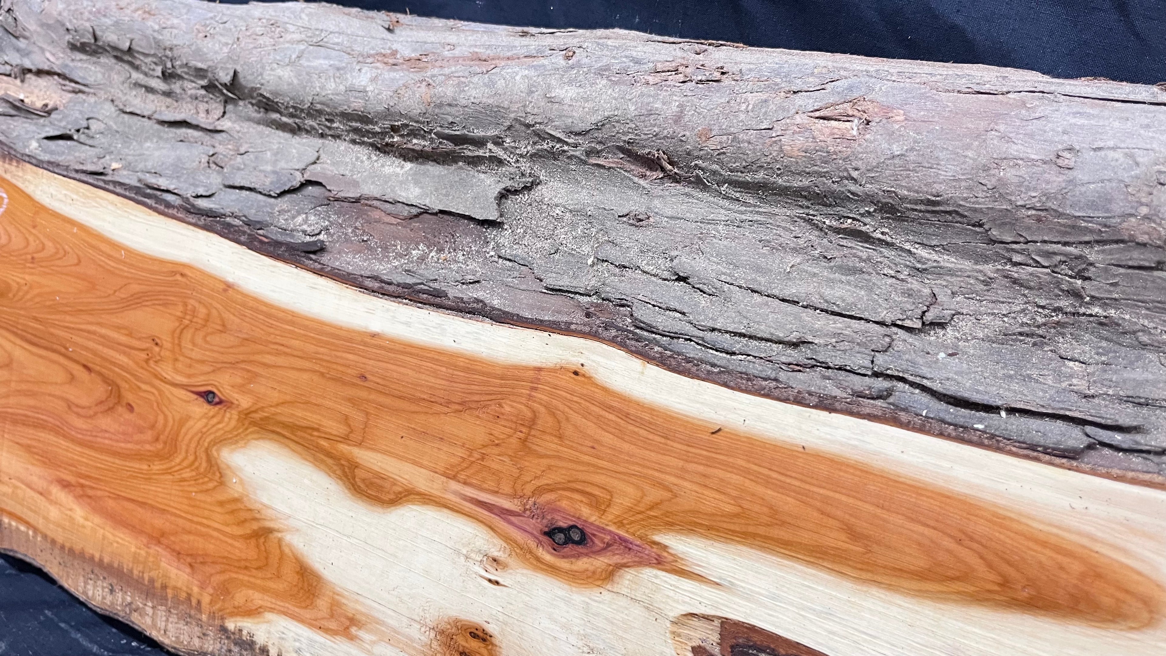 Hardwood yew, slab, board 670 L x 303 W x 43 D mm    (306)