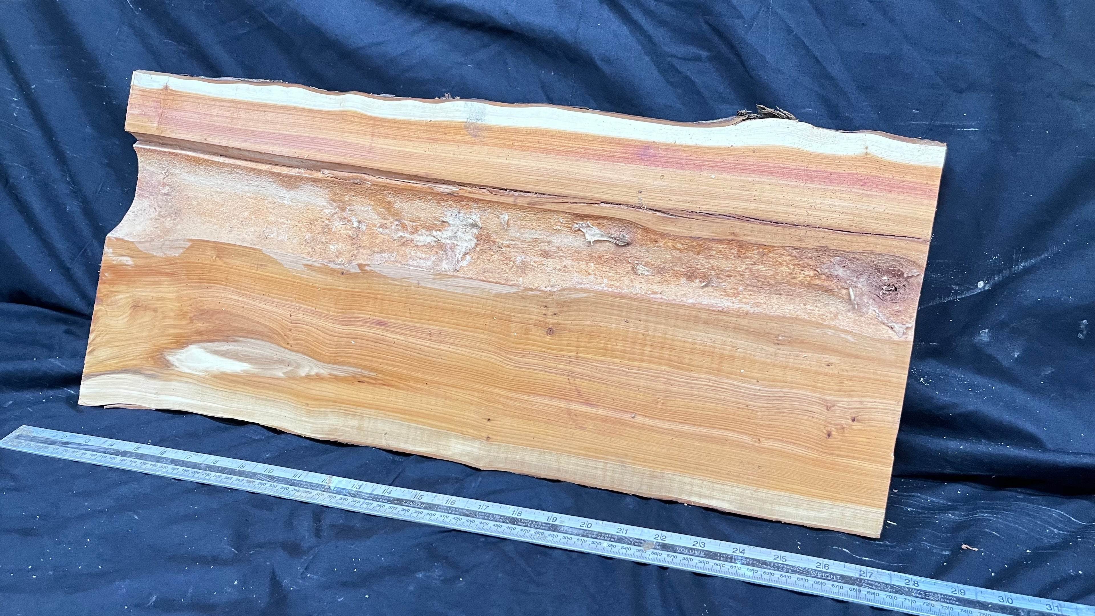 Hardwood yew, slab, board 670 L x 303 W x 43 D mm    (306)