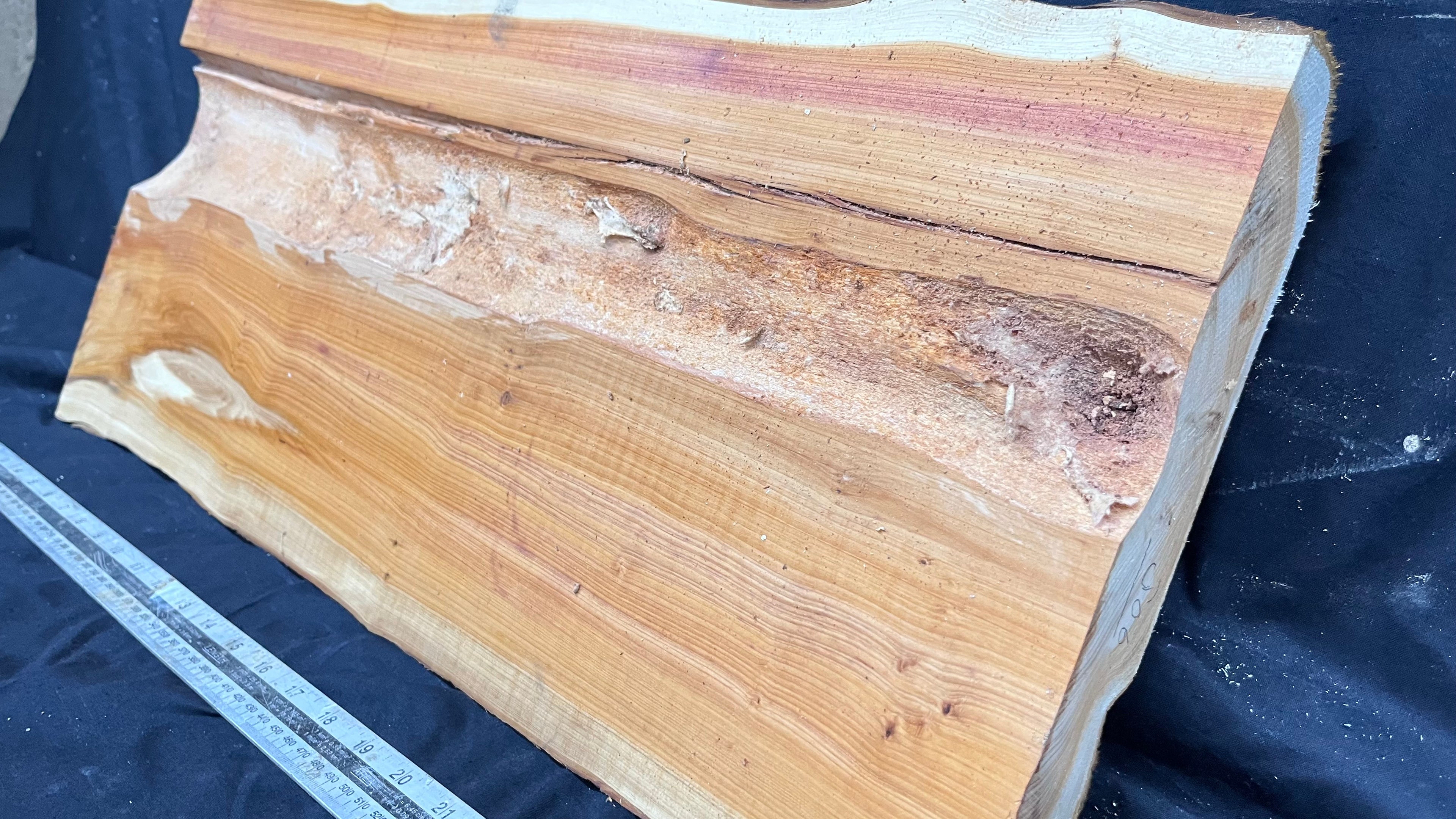 Hardwood yew, slab, board 670 L x 303 W x 43 D mm    (306)
