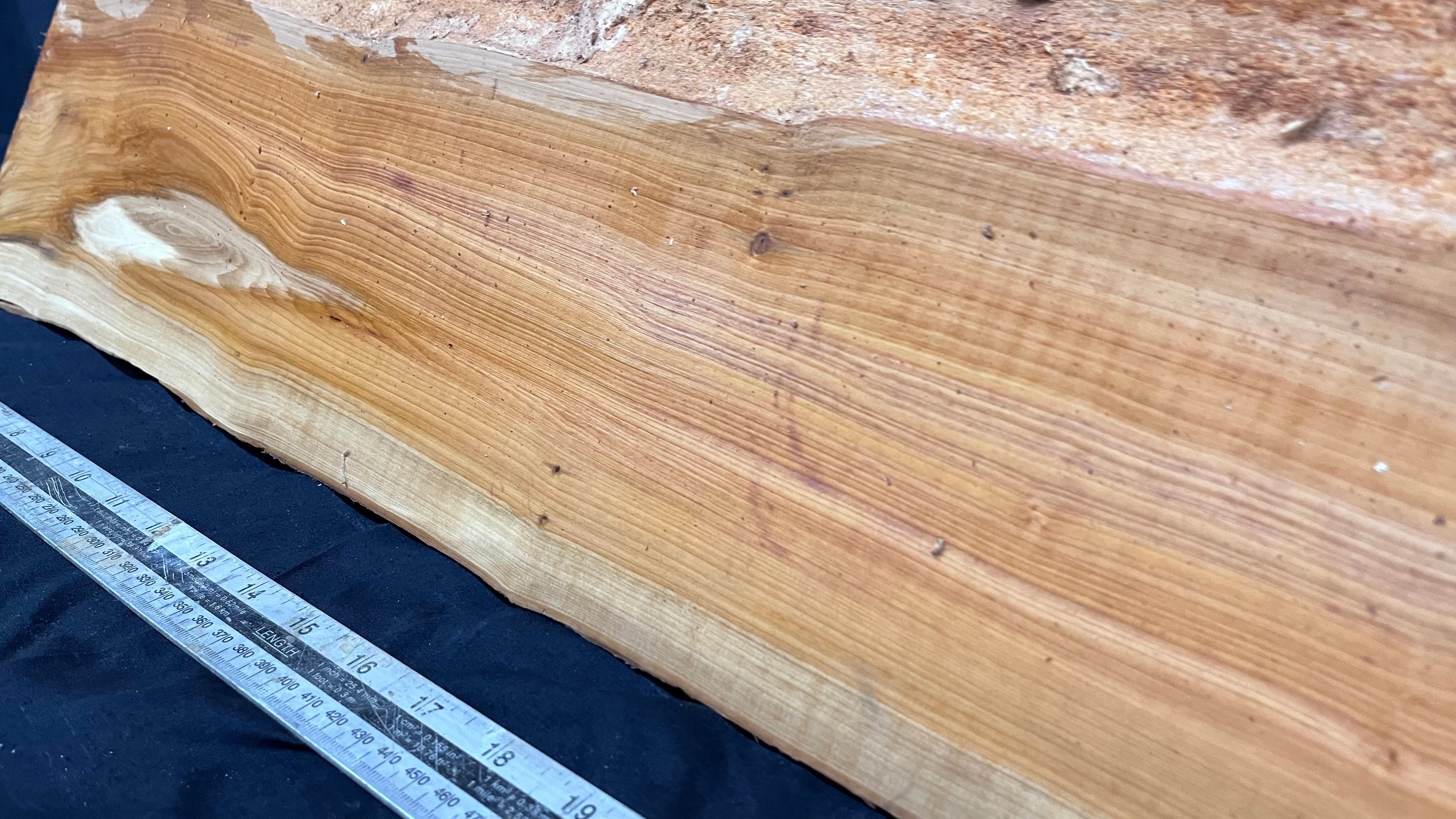 Hardwood yew, slab, board 670 L x 303 W x 43 D mm    (306)