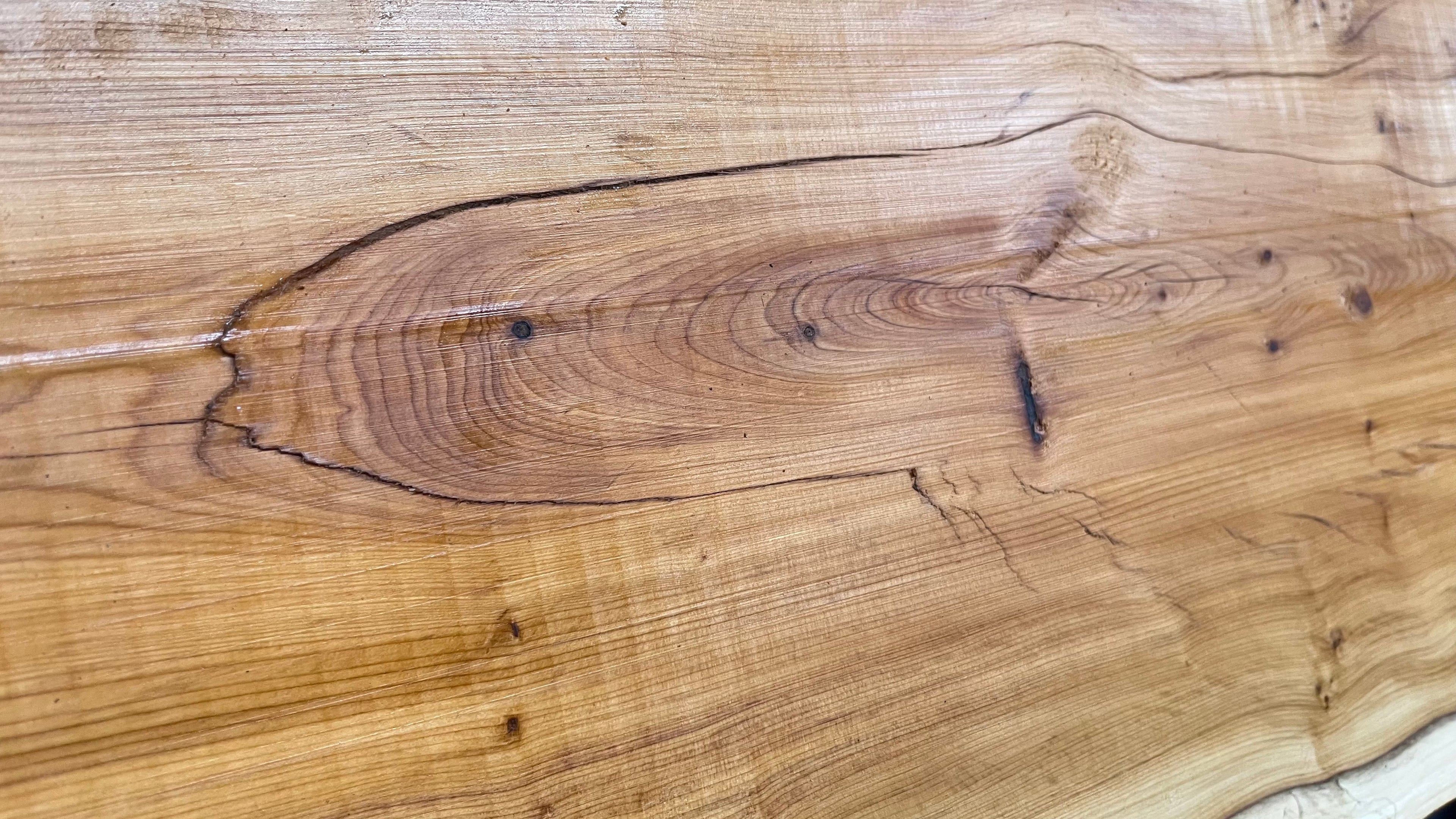 Hardwood yew, slab, board 870 L x 320 W x 20 D mm    (307)