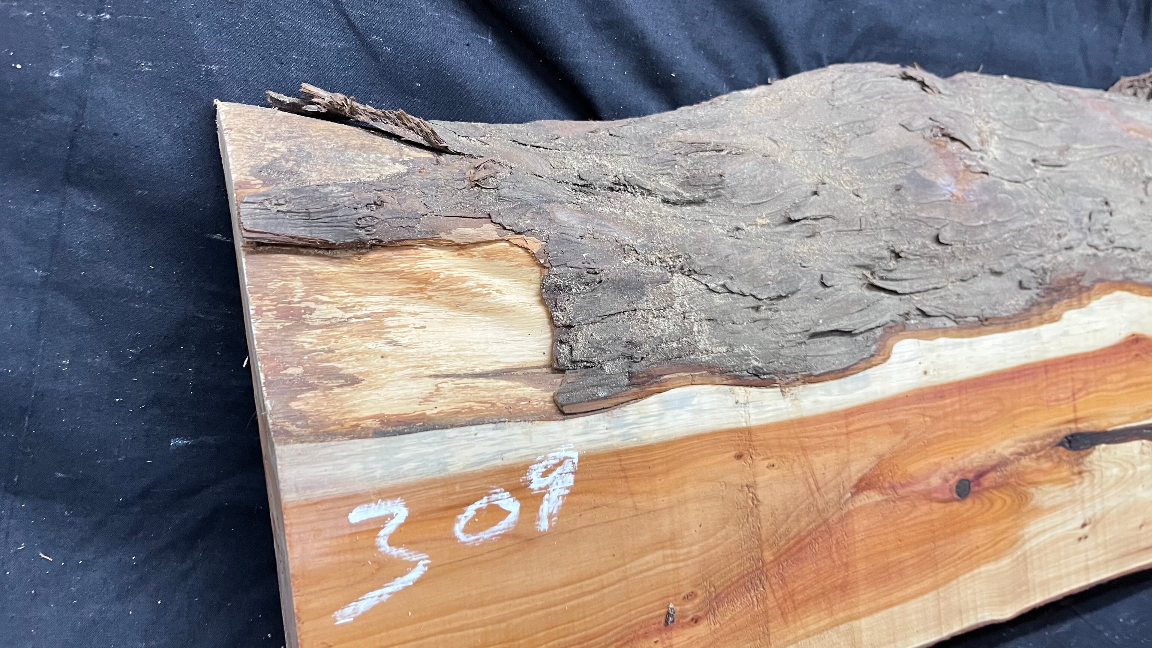 Hardwood yew, slab, board 732 L x 258 W x 43 D mm    (309)