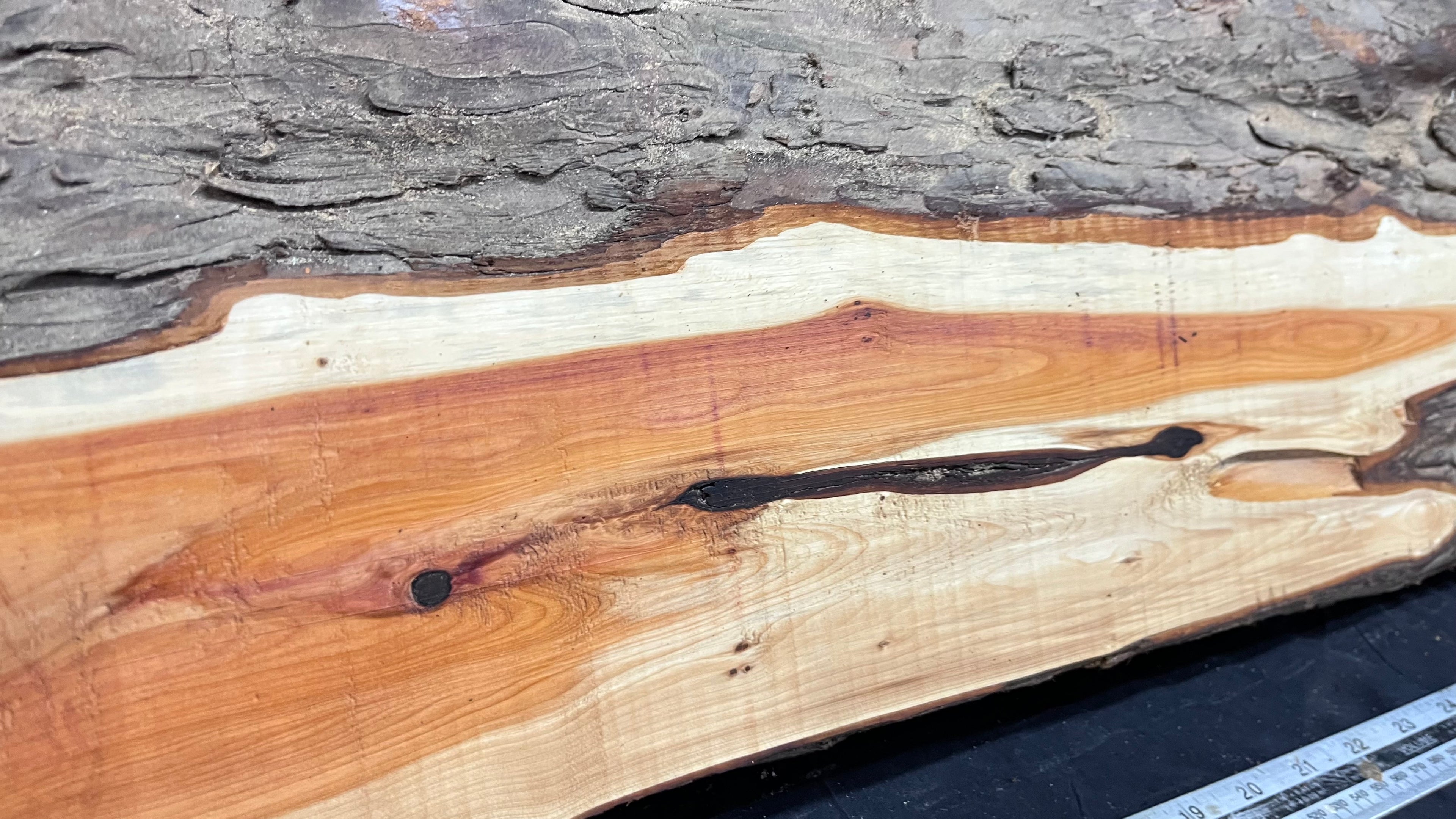 Hardwood yew, slab, board 732 L x 258 W x 43 D mm    (309)