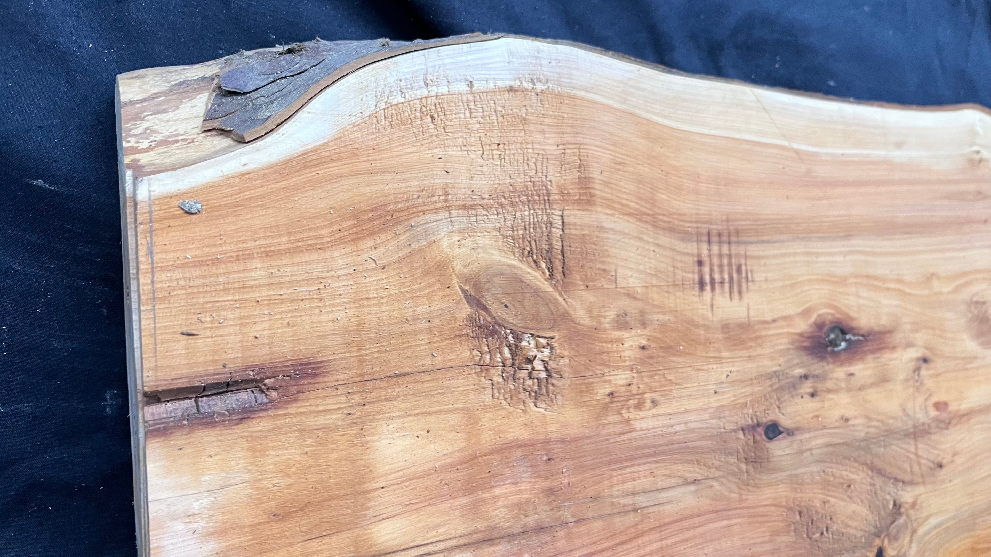 Hardwood yew, slab, board 732 L x 258 W x 43 D mm    (309)
