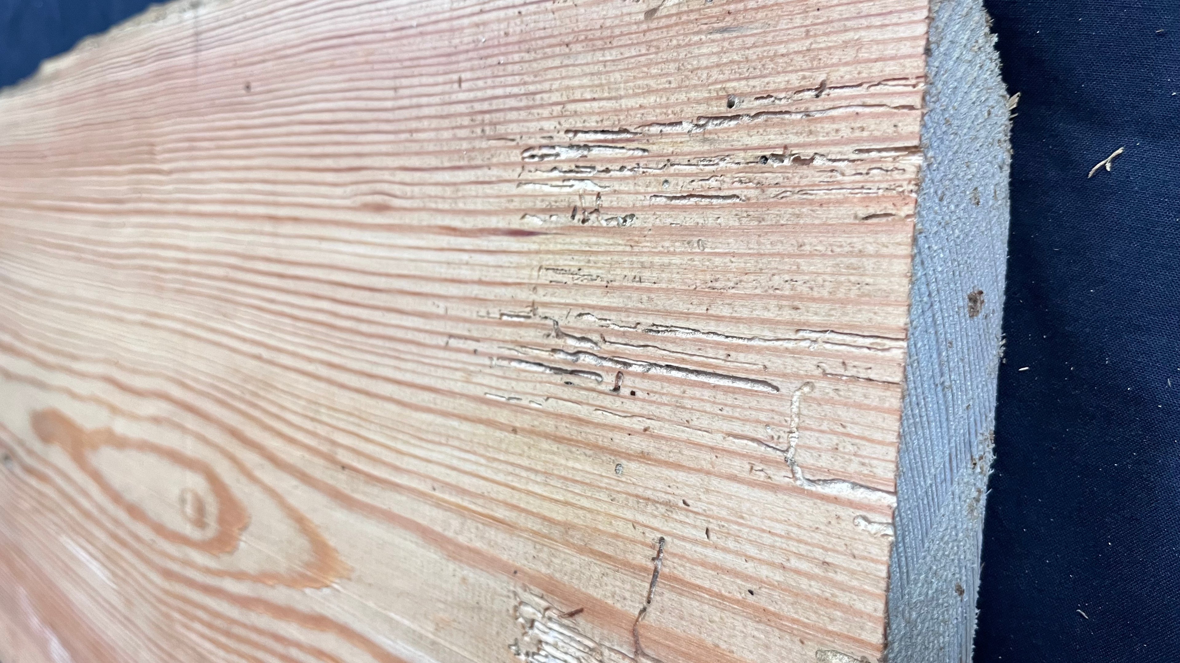 Reclained pitch pine plank, shelf, board 1003 L x 358 W x 43 D mm  (313)