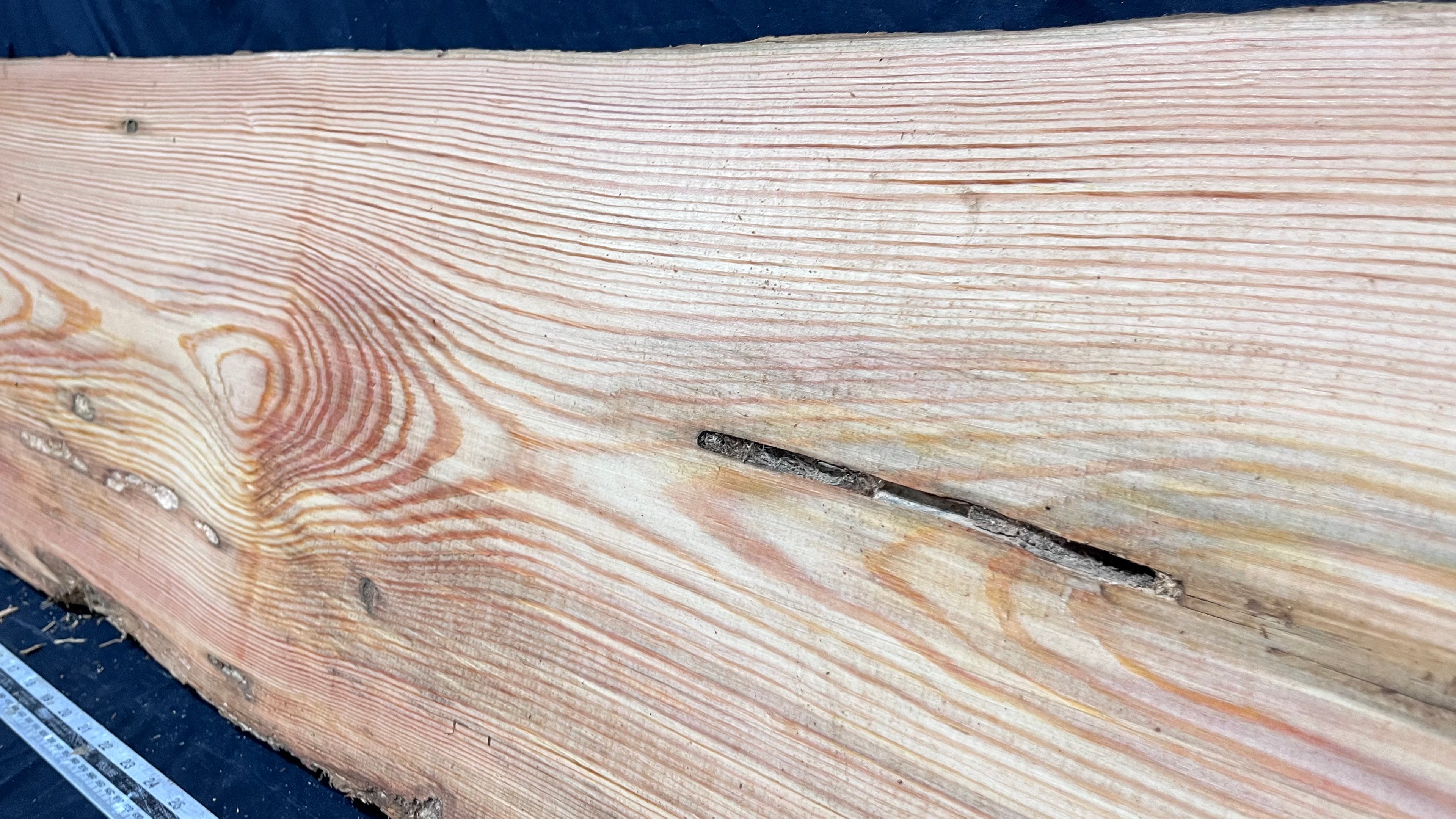 Reclained pitch pine plank, shelf, board 1248 L x 354 W x 44 D mm  (315)