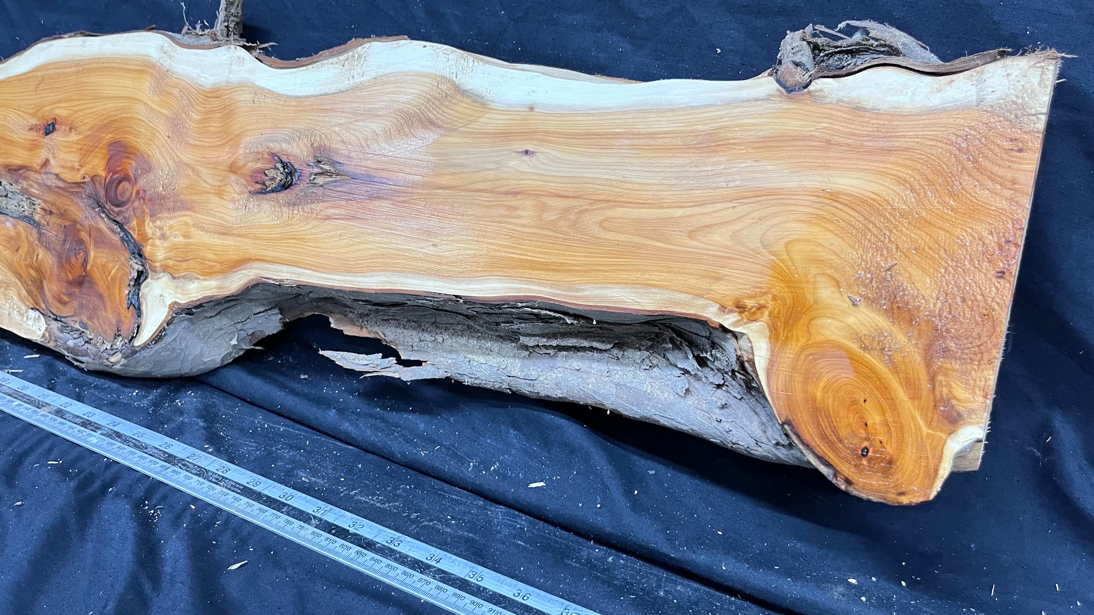 Hardwood yew, slab, board 1070 L x 227 W x 39 D mm    (319)