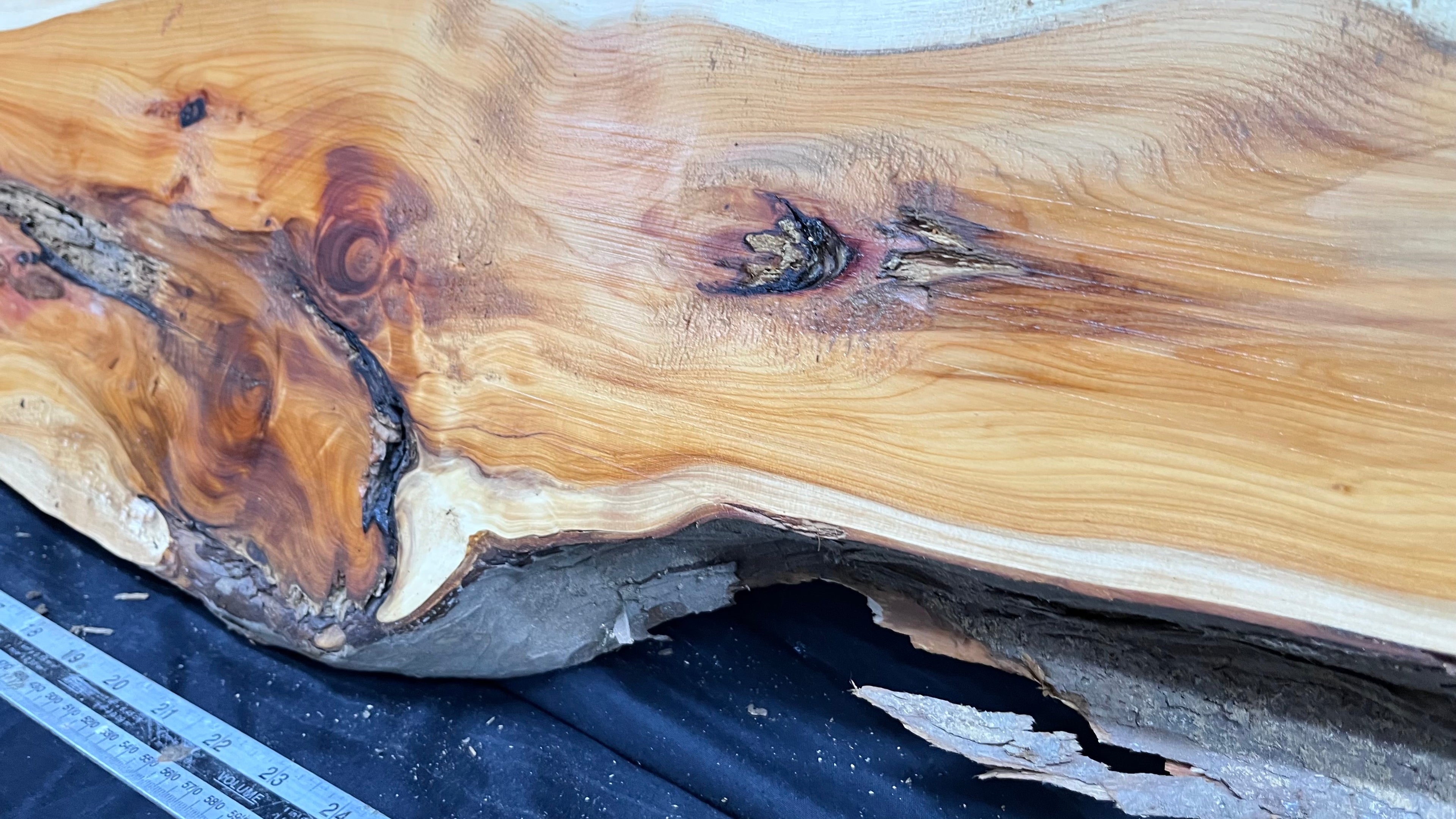 Hardwood yew, slab, board 1070 L x 227 W x 39 D mm    (319)