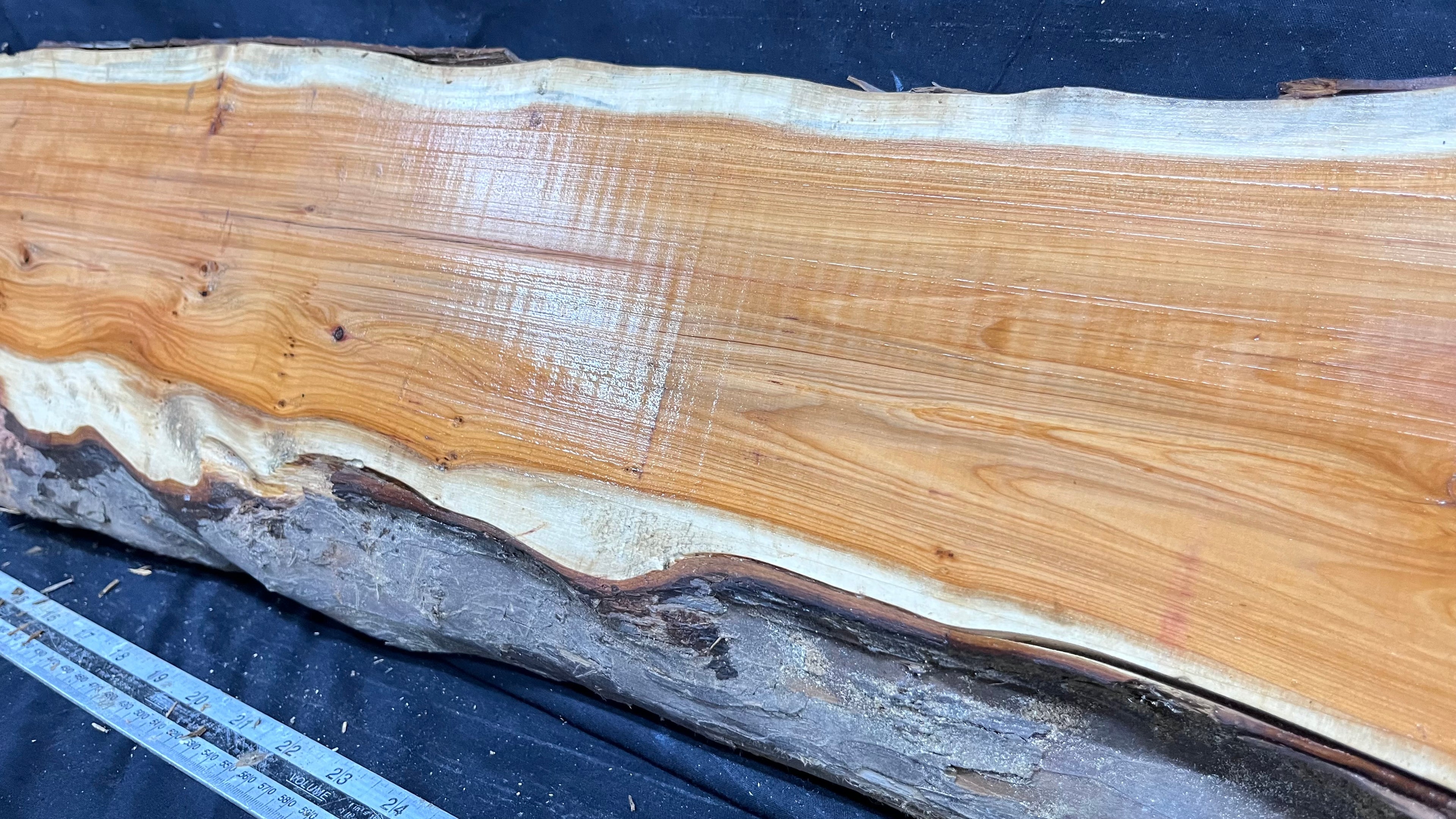 Hardwood yew, slab, board 1073 L x 219 W x 40 D mm    (320)
