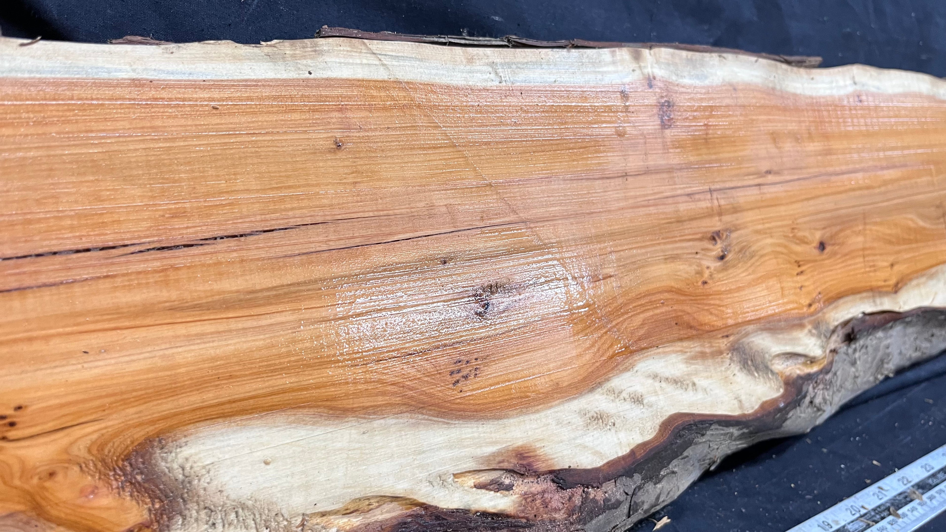 Hardwood yew, slab, board 1073 L x 219 W x 40 D mm    (320)