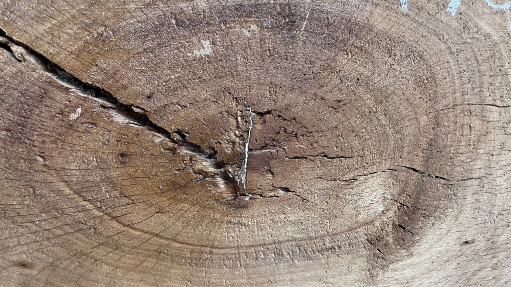Oak resin project coffee table top 1514 L x 421 W x 30 D mm      (490mf)