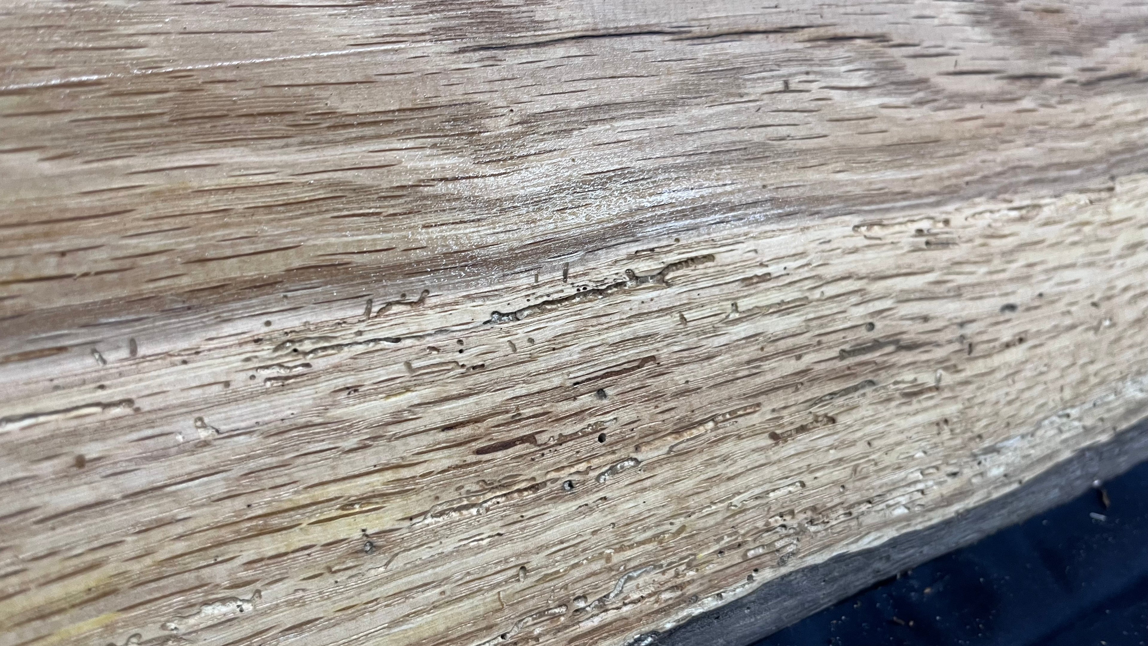 Rustic oak window sill, shelf,  896 L x 396 W x 14 D mm      (495mf)