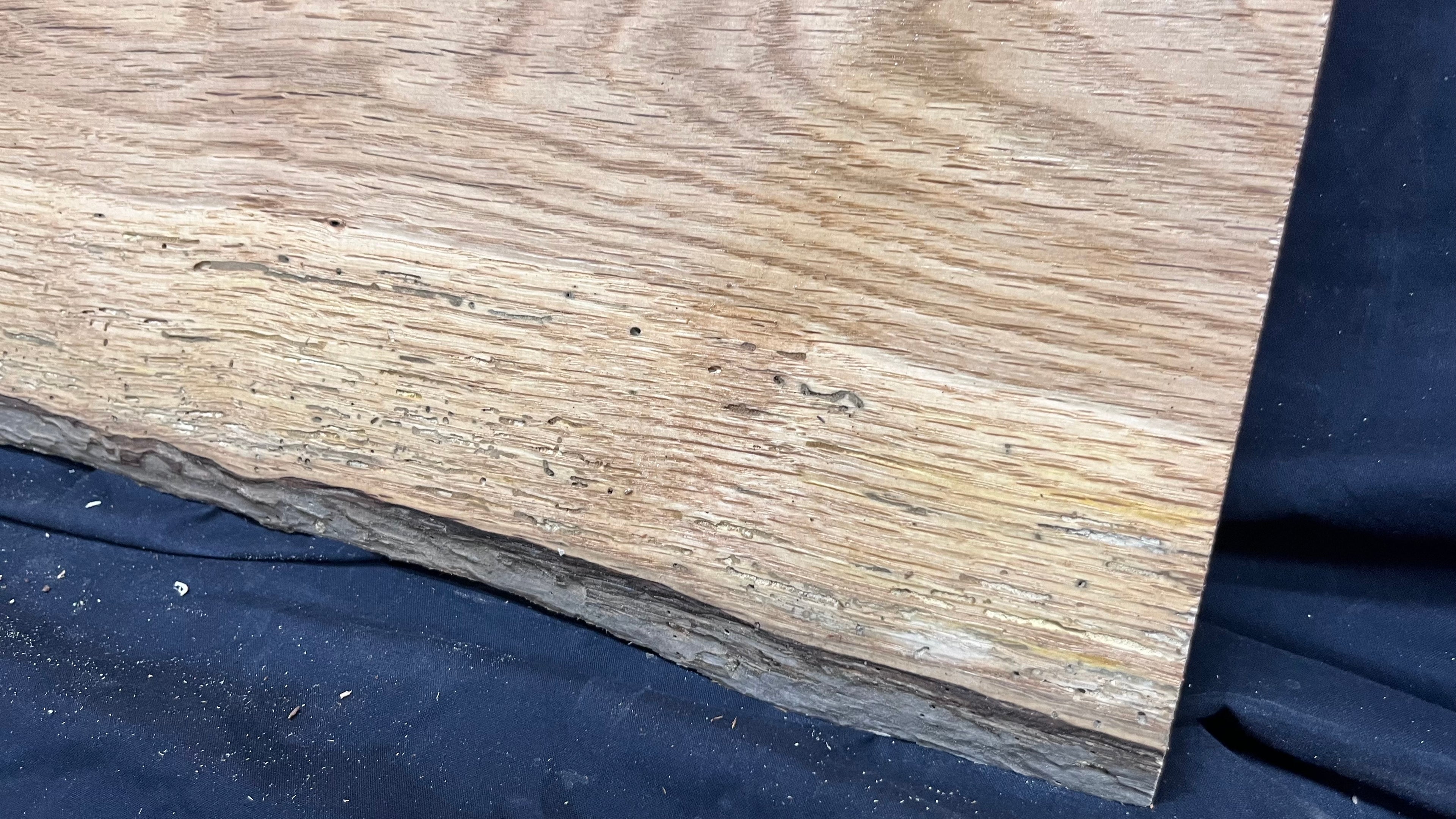 Rustic oak window sill, shelf,  896 L x 396 W x 14 D mm      (495mf)