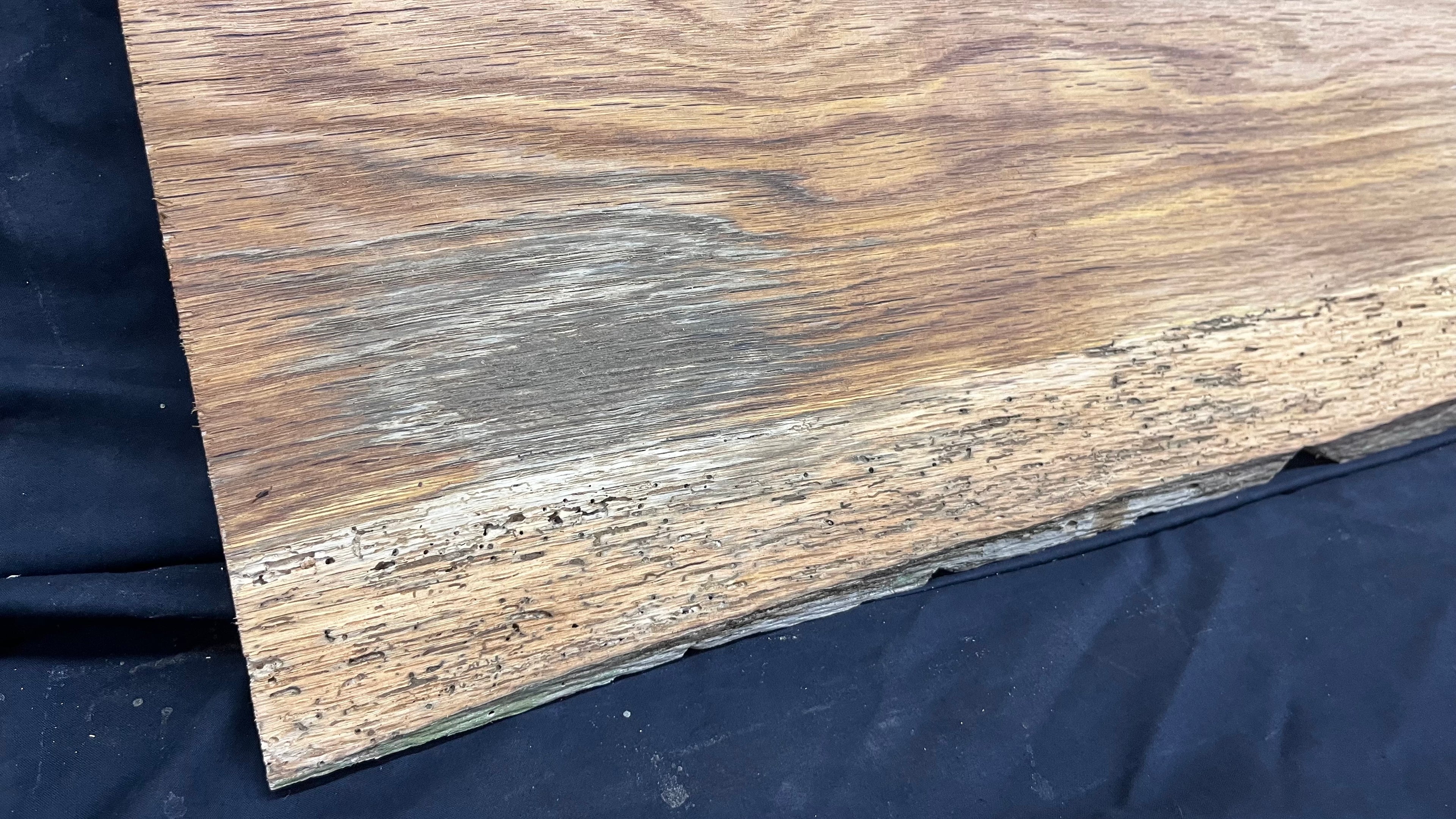 Rustic oak window sill, shelf,  903 L x 446 W x 14 D mm      (496mf)