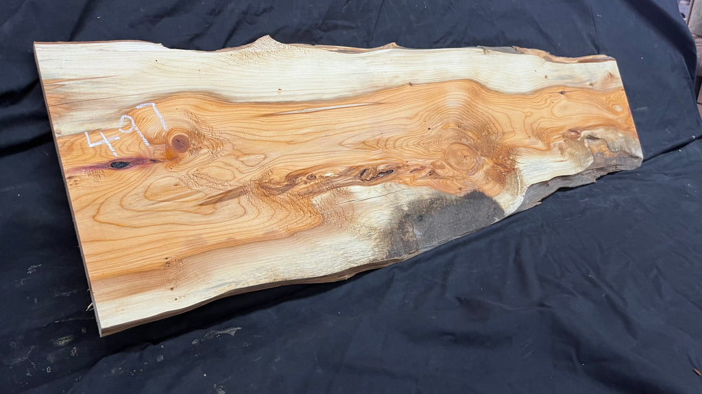 Yew,hardwood, slab, board, block 1114 L x 347 W x 19 D mm    (497)
