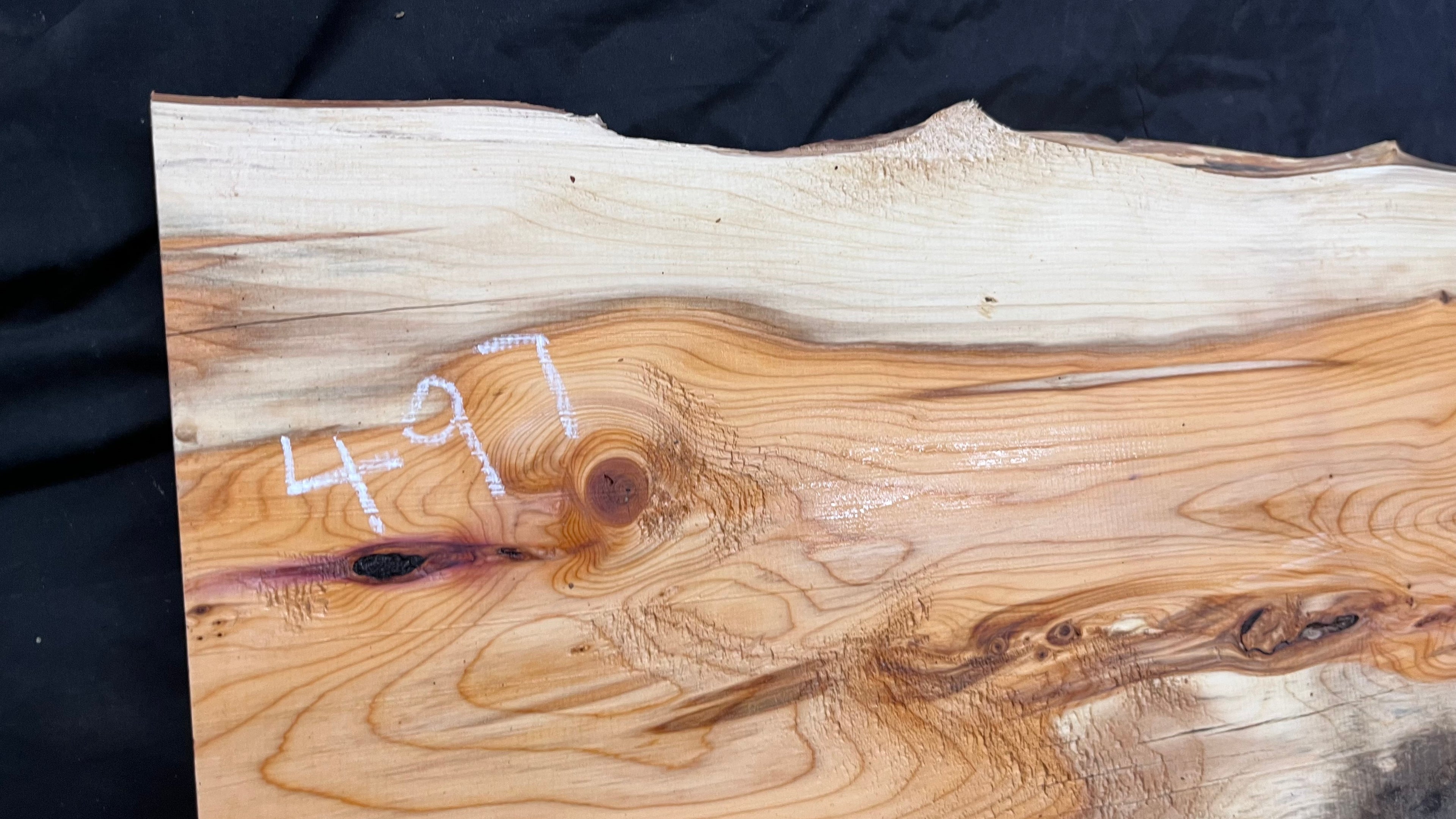 Yew,hardwood, slab, board, block 1114 L x 347 W x 19 D mm    (497)