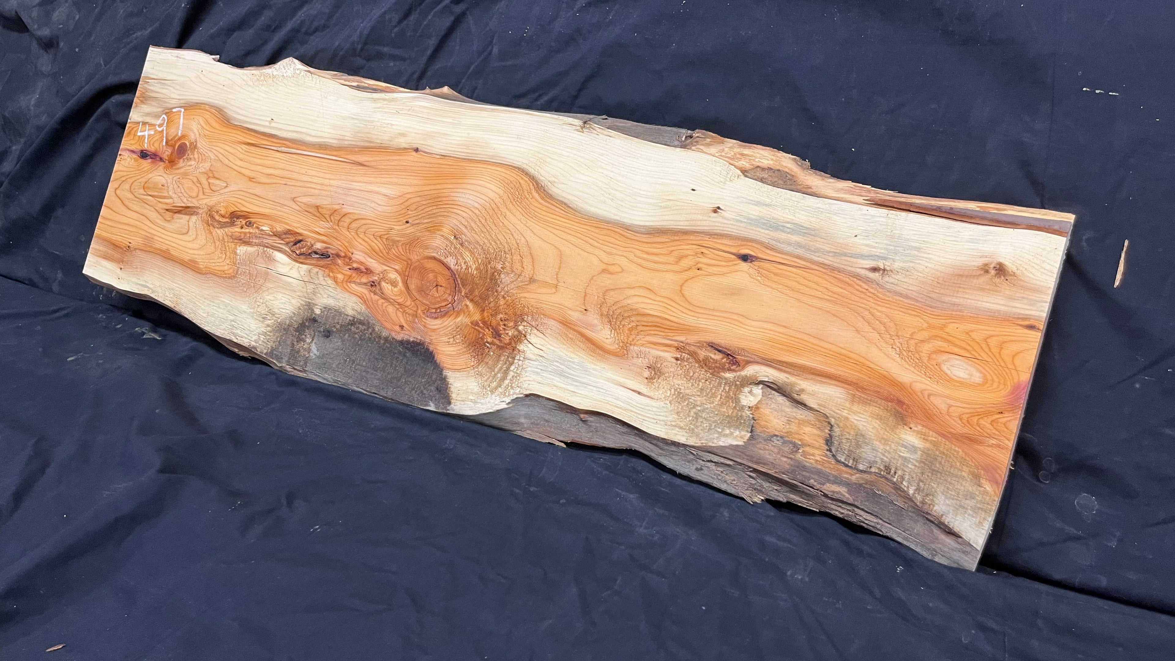 Yew,hardwood, slab, board, block 1114 L x 347 W x 19 D mm    (497)
