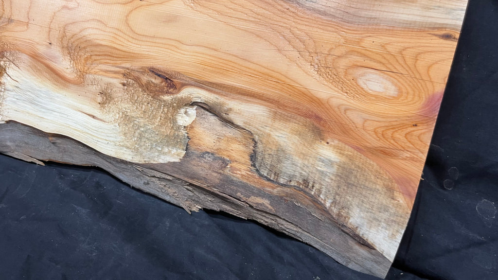Yew,hardwood, slab, board, block 1114 L x 347 W x 19 D mm    (497)