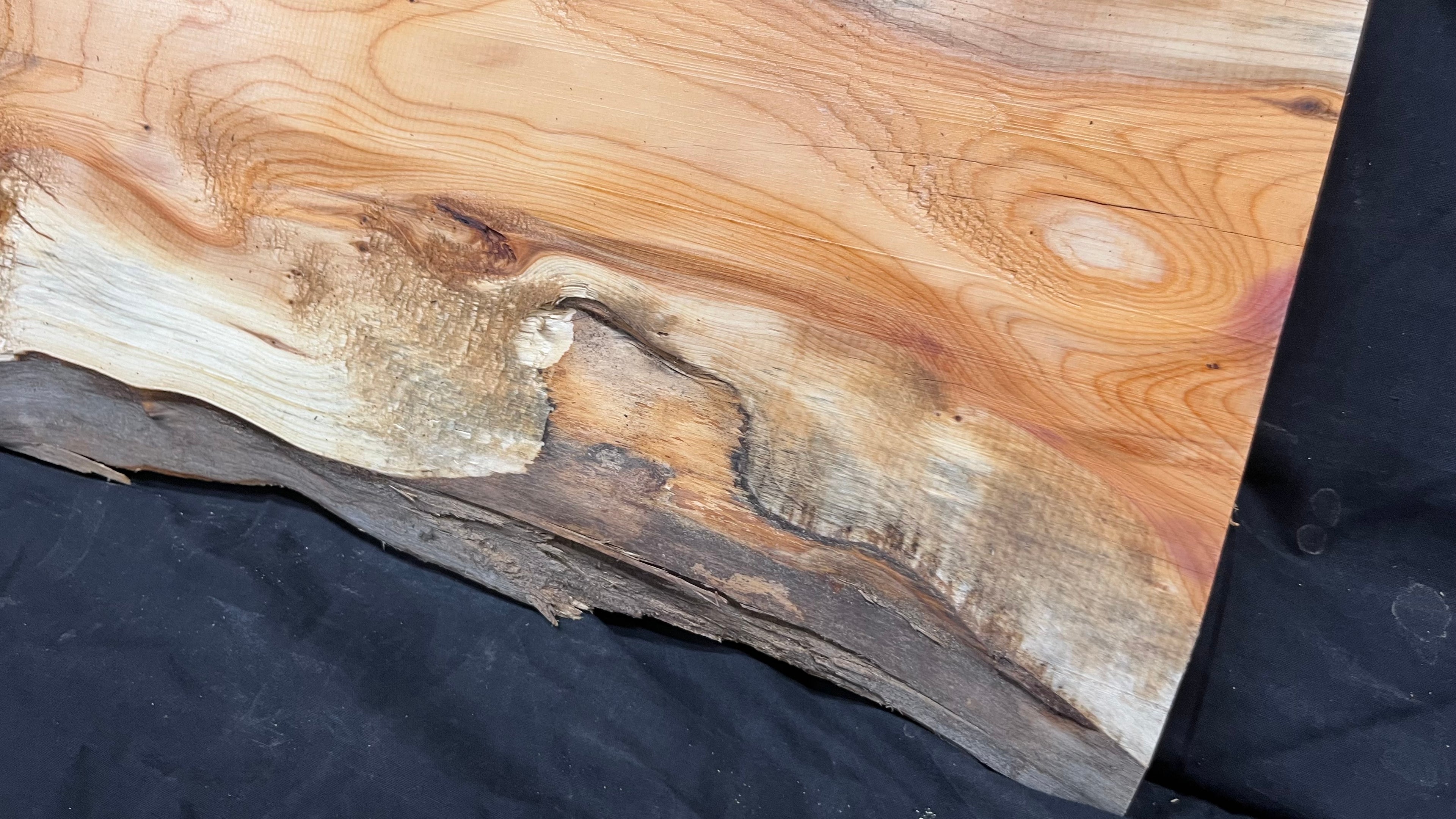 Yew,hardwood, slab, board, block 1114 L x 347 W x 19 D mm    (497)