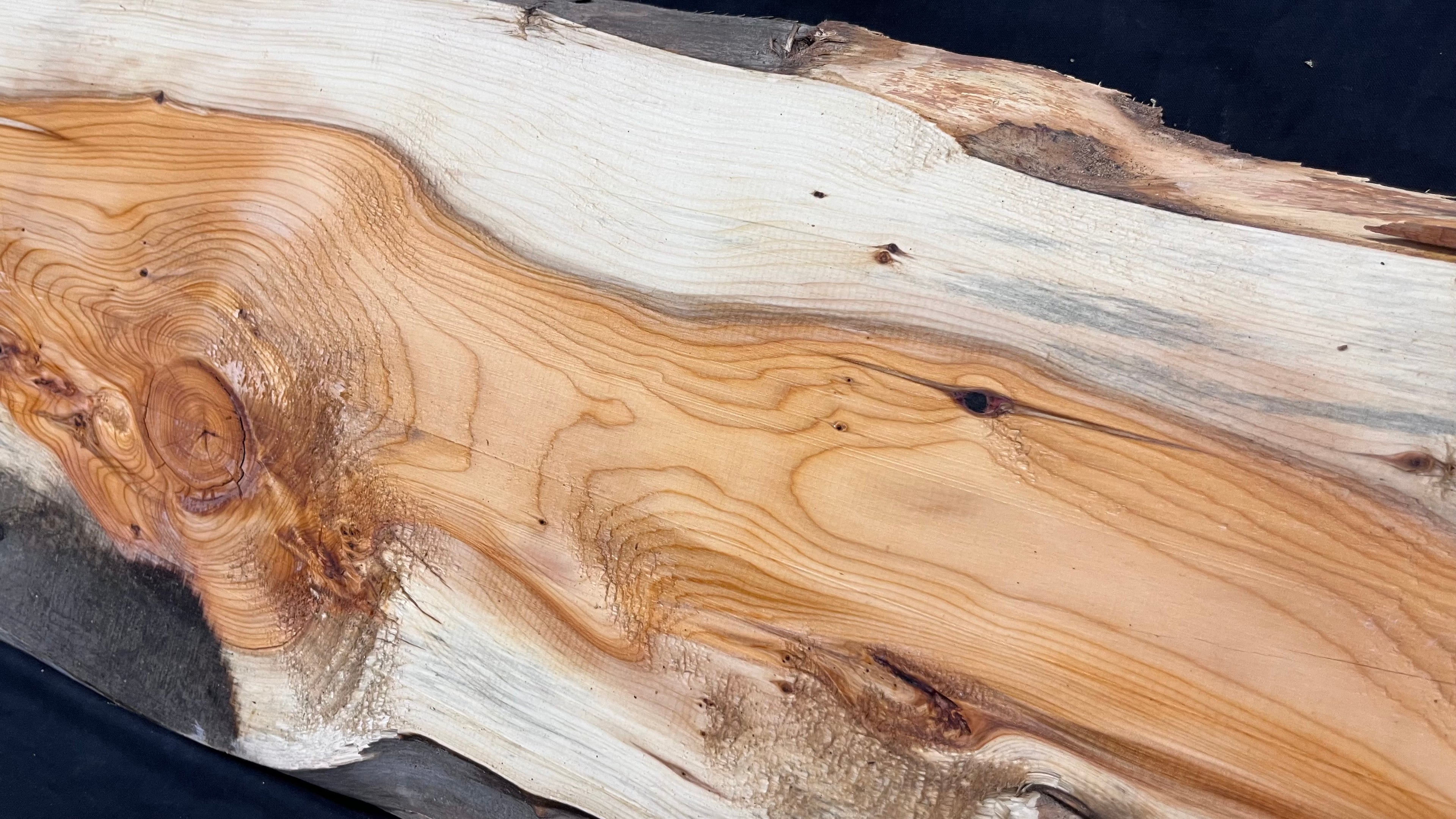 Yew,hardwood, slab, board, block 1114 L x 347 W x 19 D mm    (497)