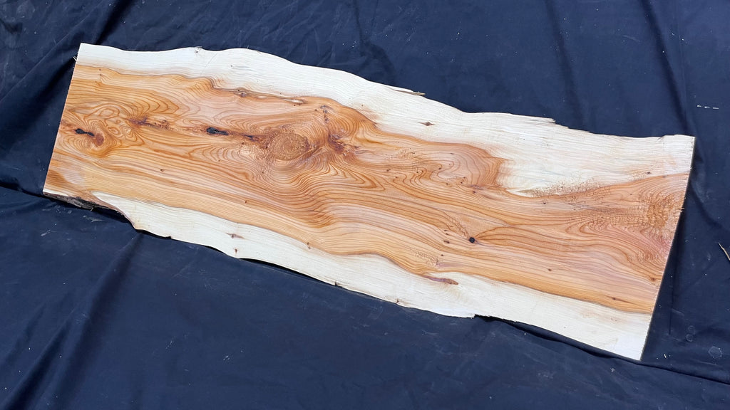 Yew,hardwood, slab, board, block 1114 L x 347 W x 19 D mm    (497)