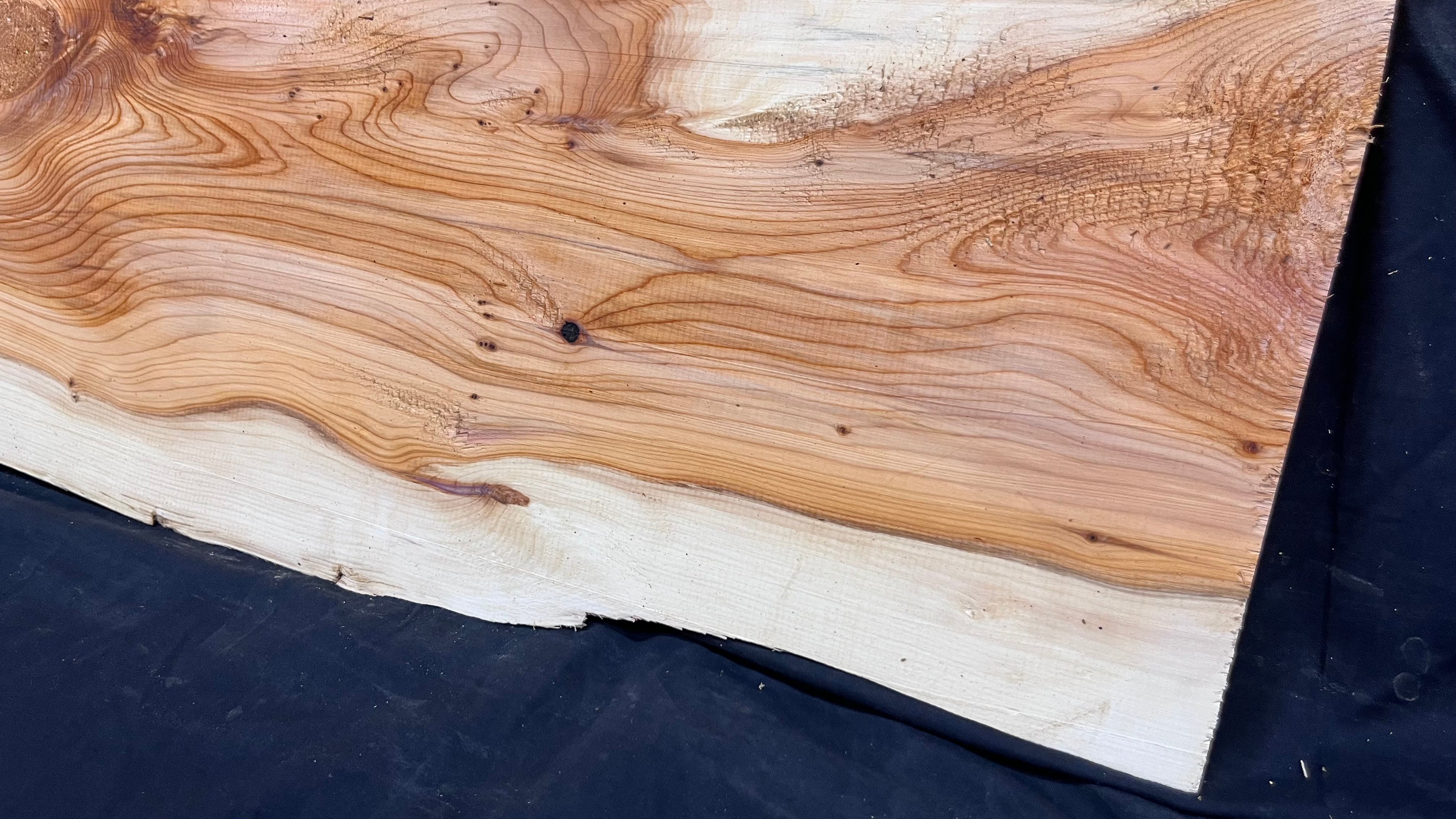 Yew,hardwood, slab, board, block 1114 L x 347 W x 19 D mm    (497)