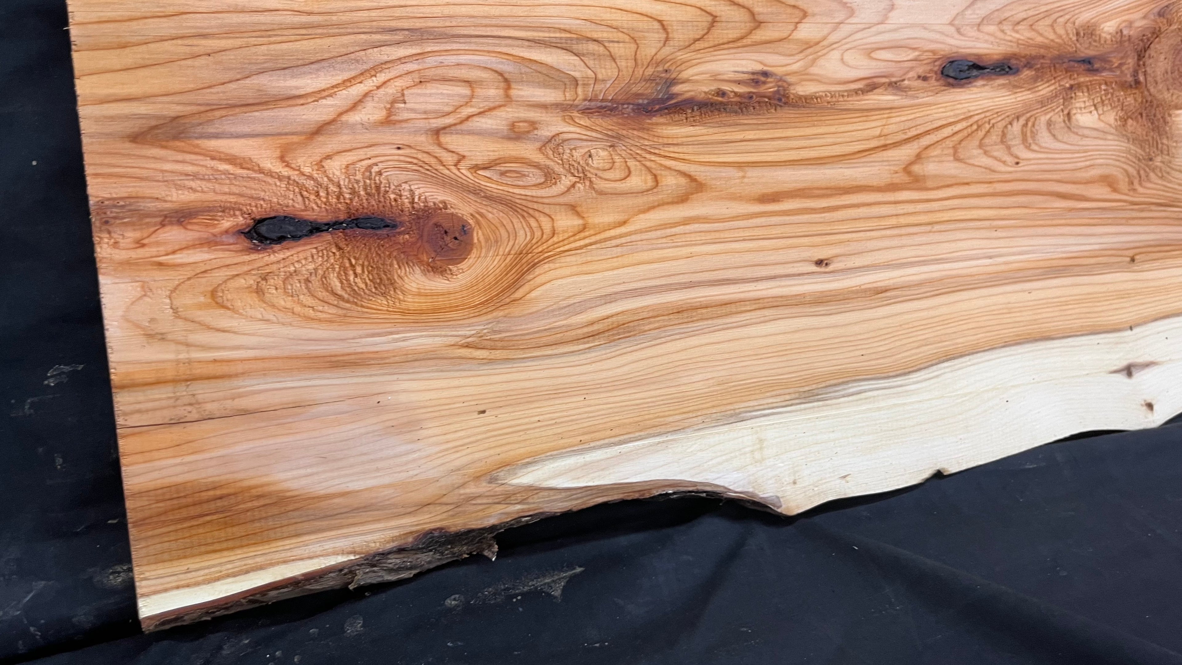 Yew,hardwood, slab, board, block 1114 L x 347 W x 19 D mm    (497)