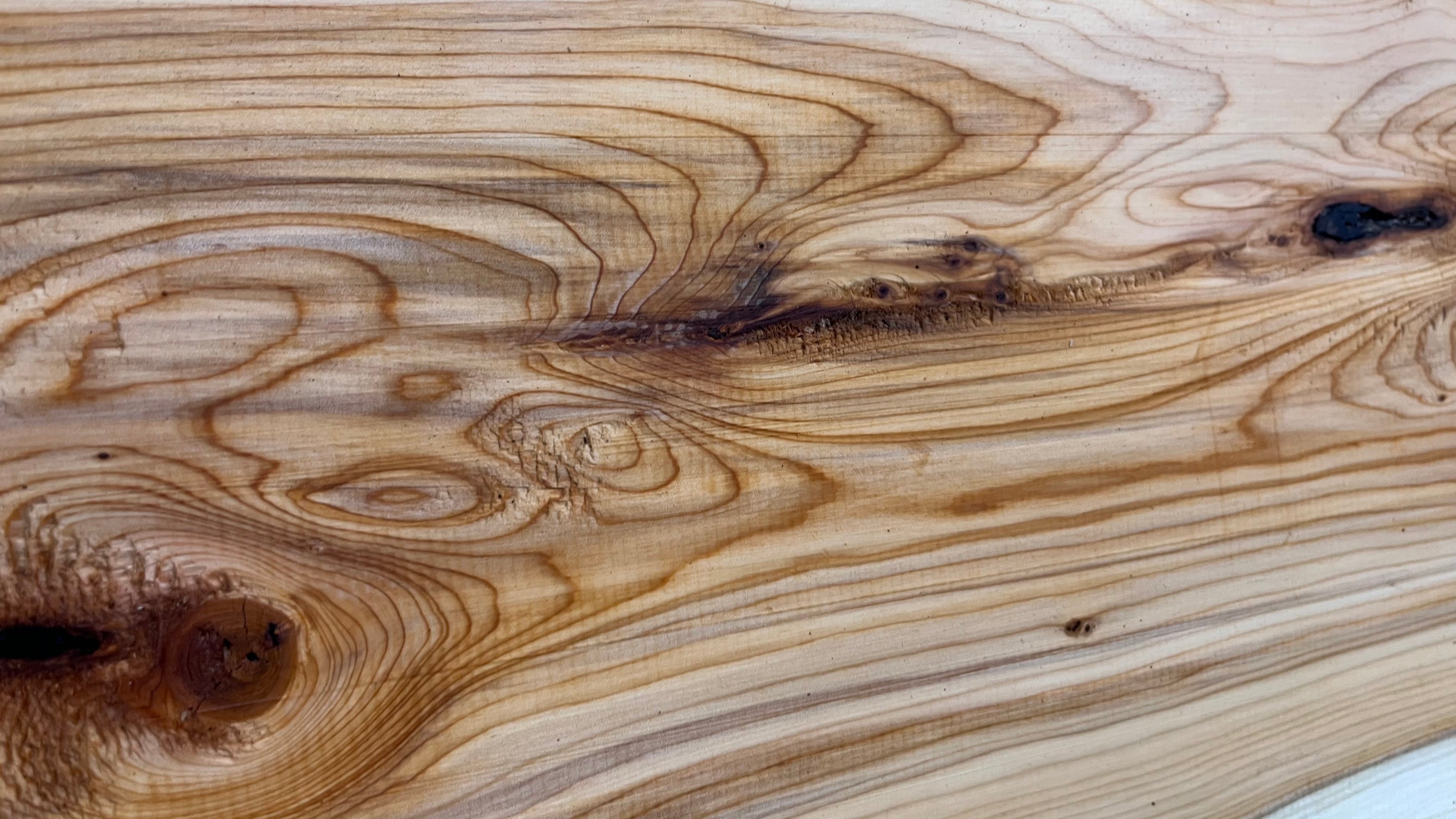 Yew,hardwood, slab, board, block 1114 L x 347 W x 19 D mm    (497)