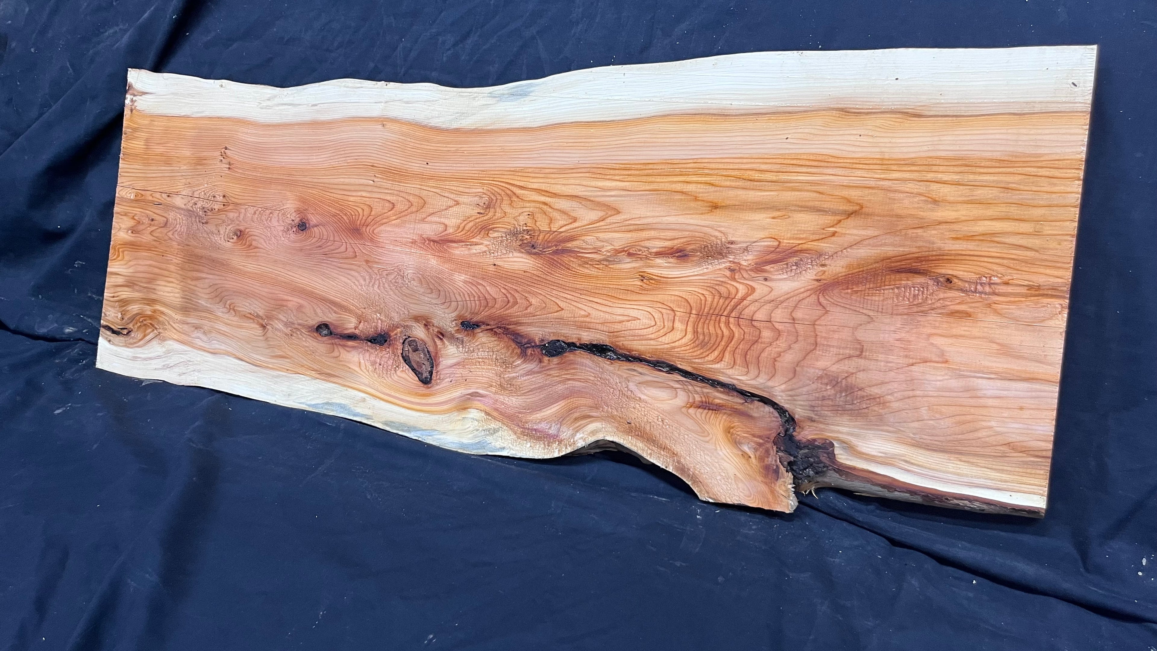 Yew,hardwood, slab, board, block 956 L x 356 W x 20 D mm    (498)