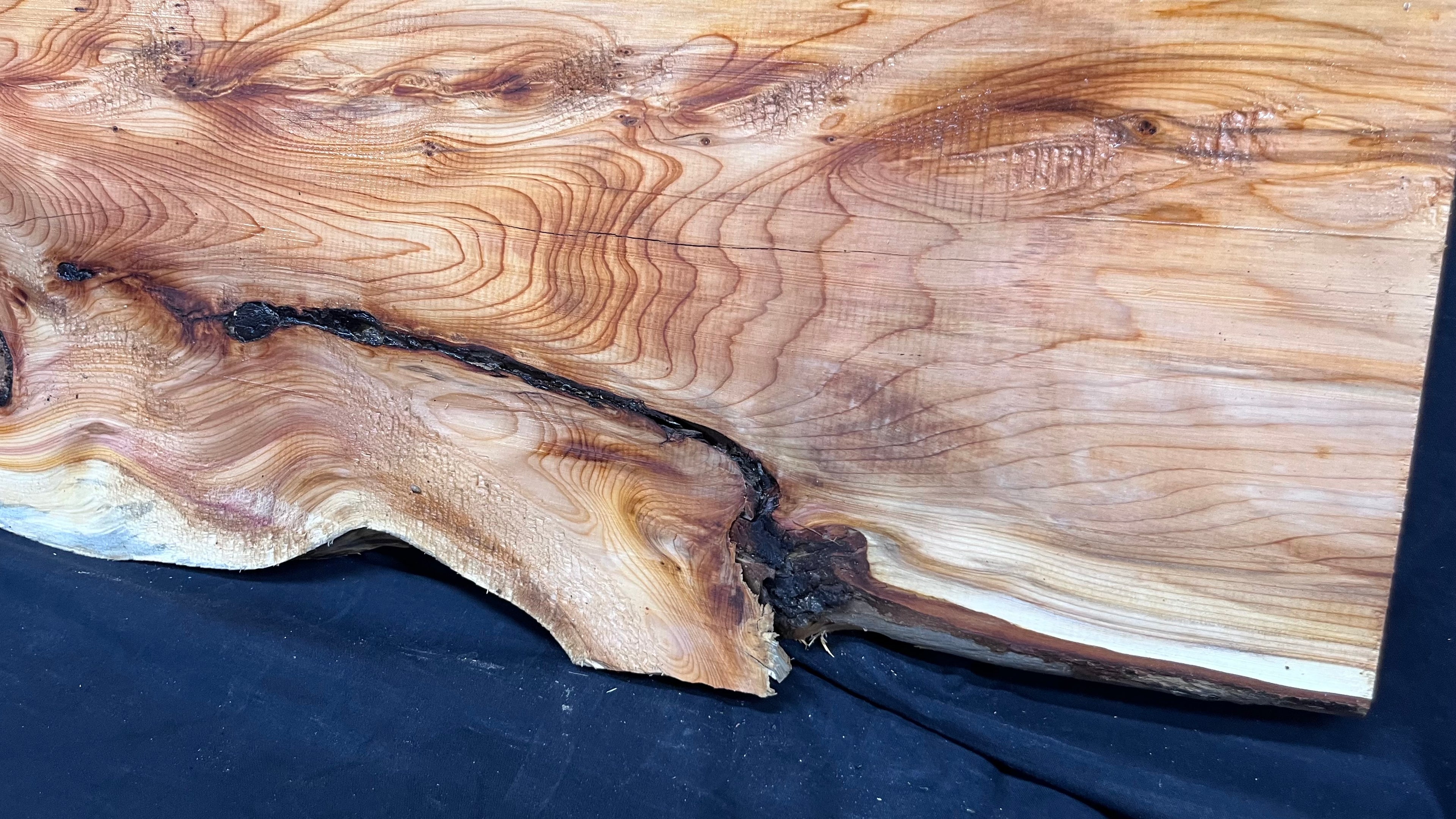 Yew,hardwood, slab, board, block 956 L x 356 W x 20 D mm    (498)