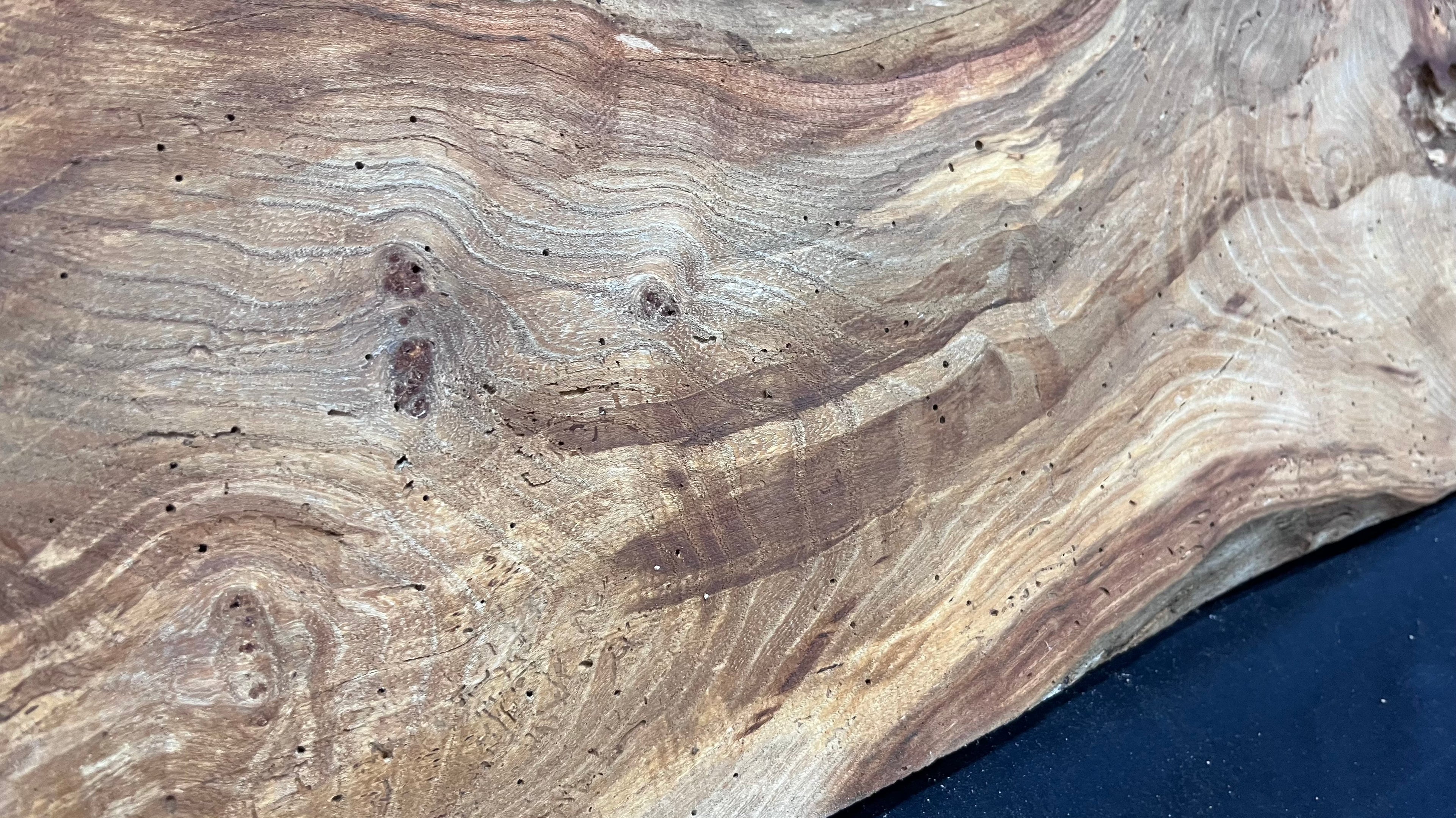 Elm reclaimed, plank, 1054 L x 239 W x 48 D mm    (512)
