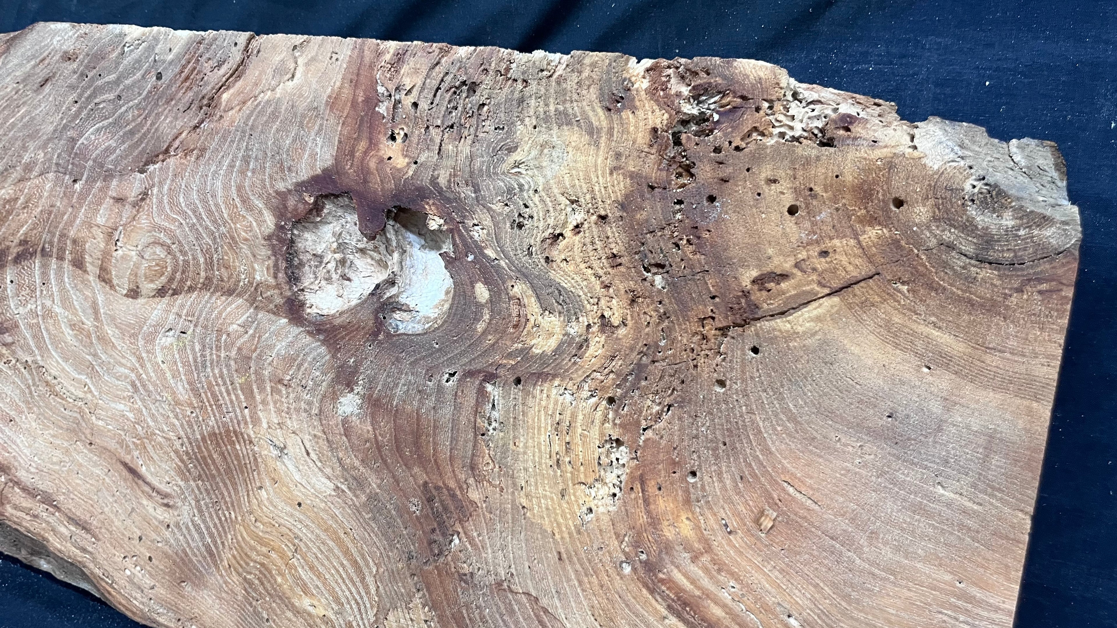 Elm reclaimed, plank, 1054 L x 239 W x 48 D mm    (512)
