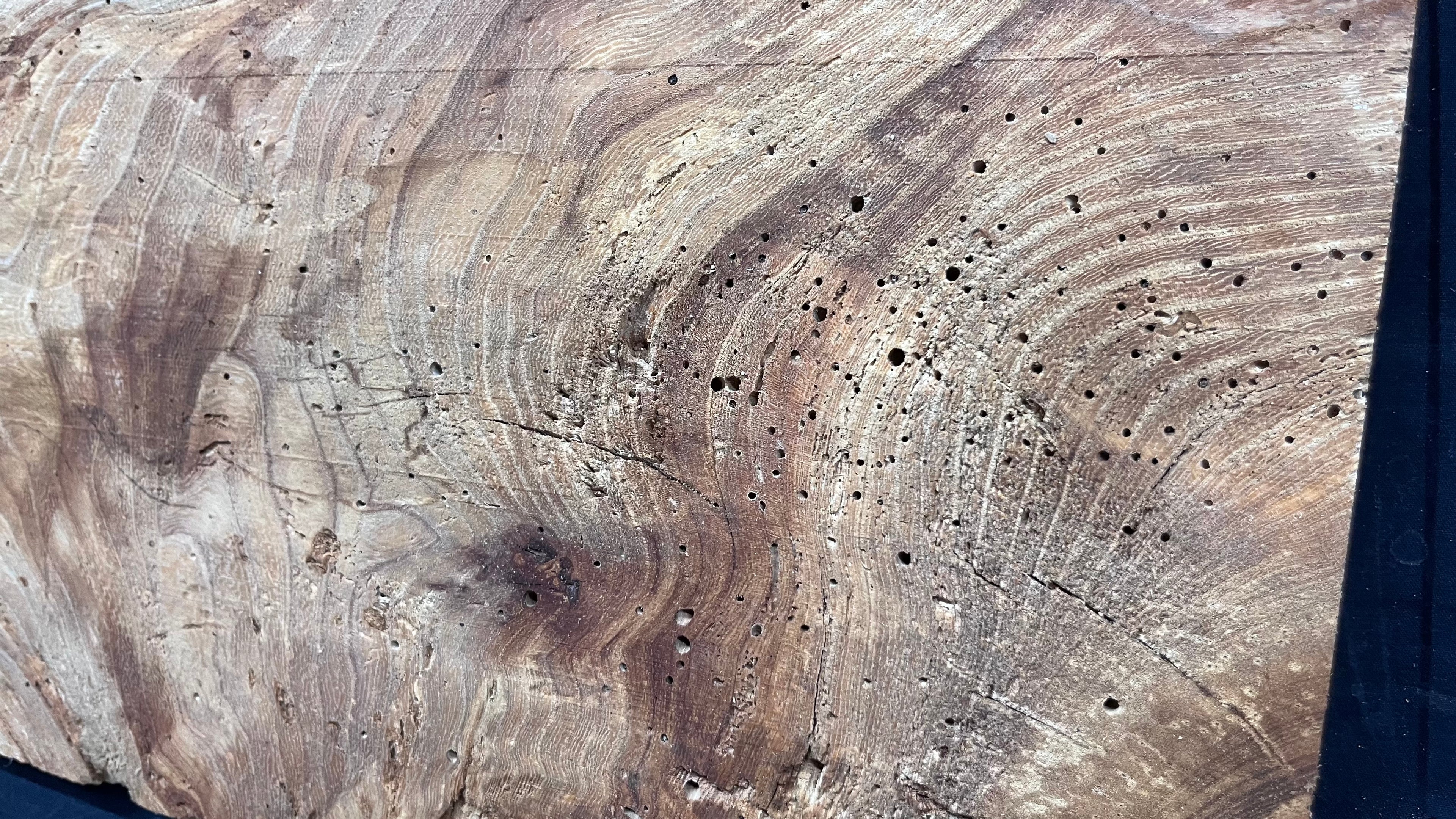Elm reclaimed, plank, 1054 L x 239 W x 48 D mm    (512)