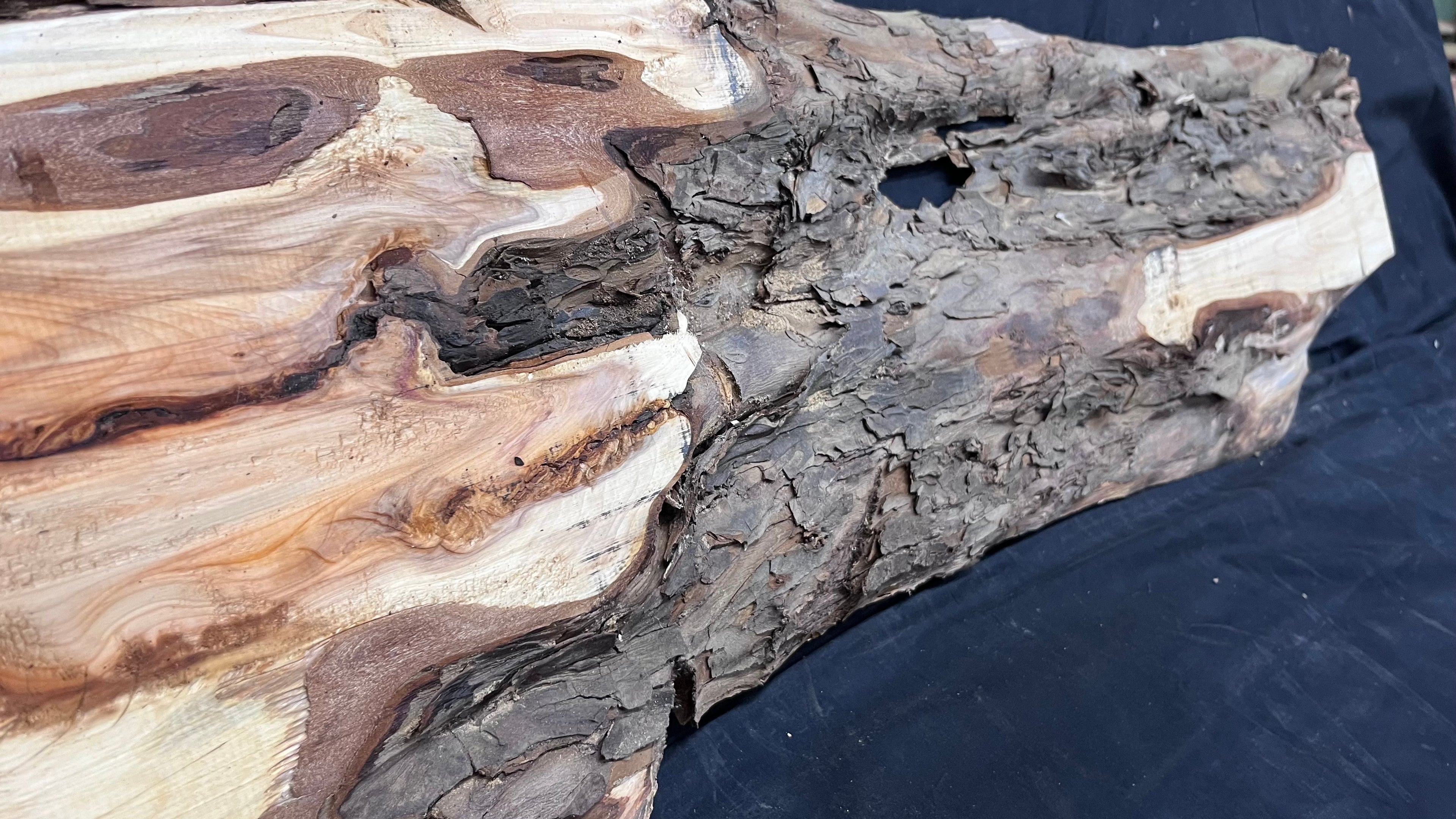 Yew, resin project, slab, board, block 1215 L x 335 W x 40 D mm    (513)