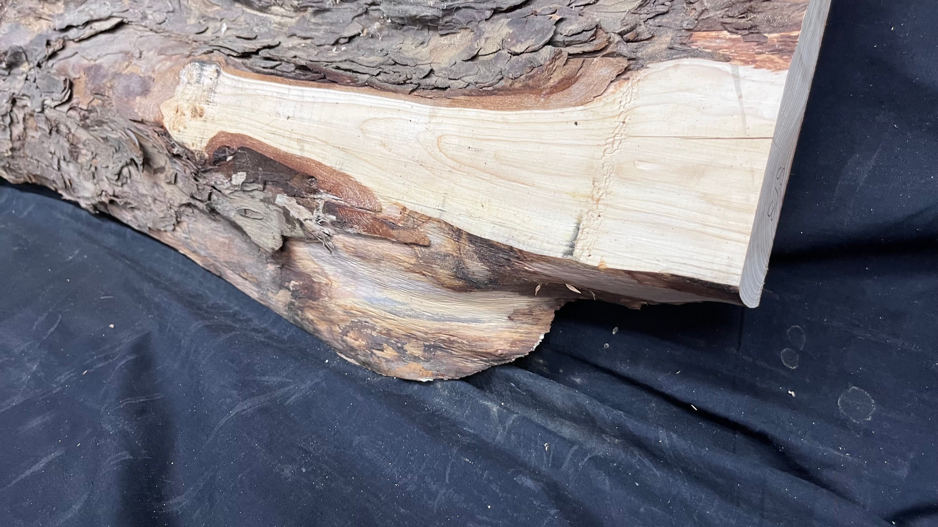 Yew, resin project, slab, board, block 1215 L x 335 W x 40 D mm    (513)