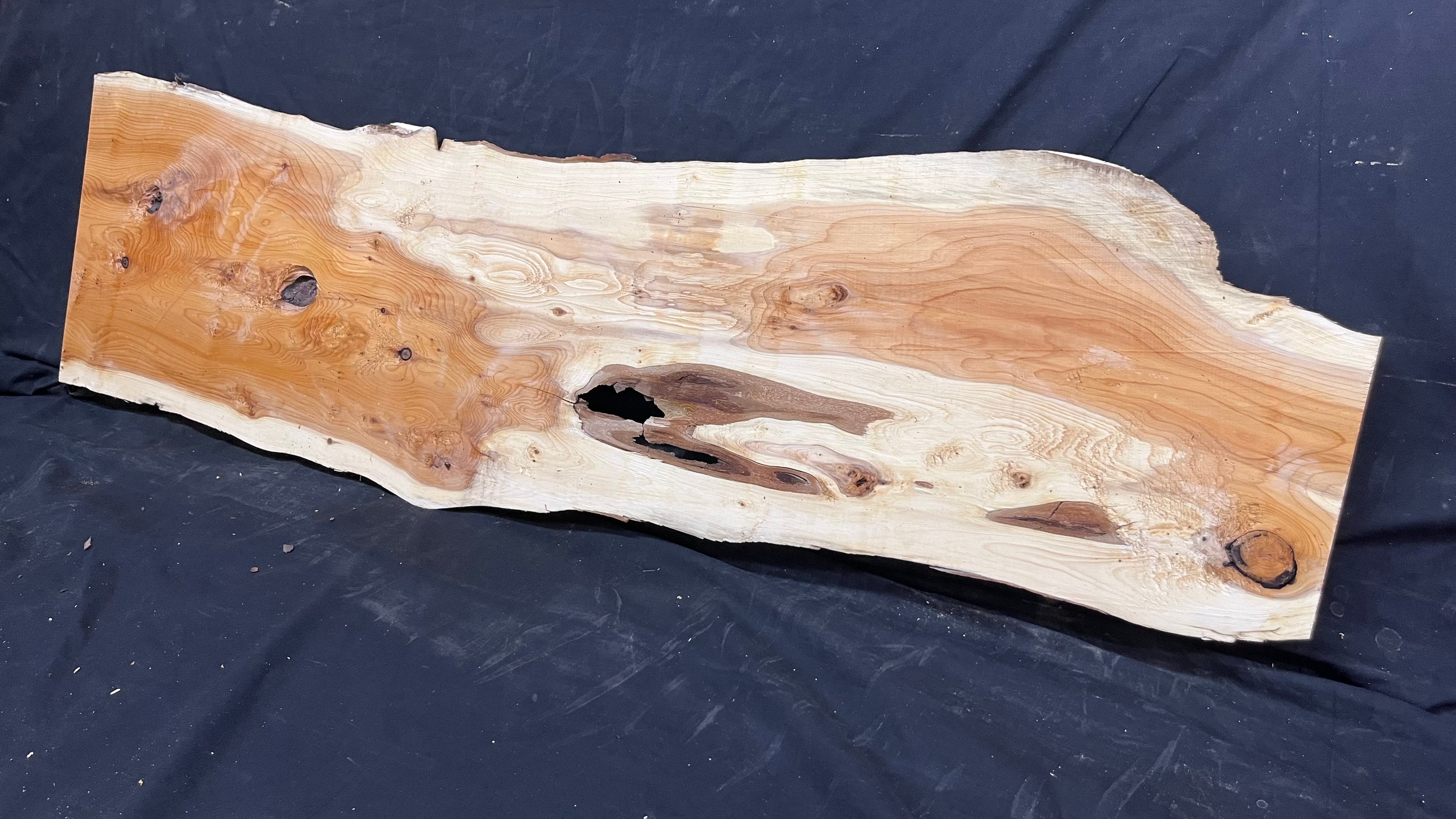 Yew, resin project, slab, board, block 1215 L x 335 W x 40 D mm    (513)