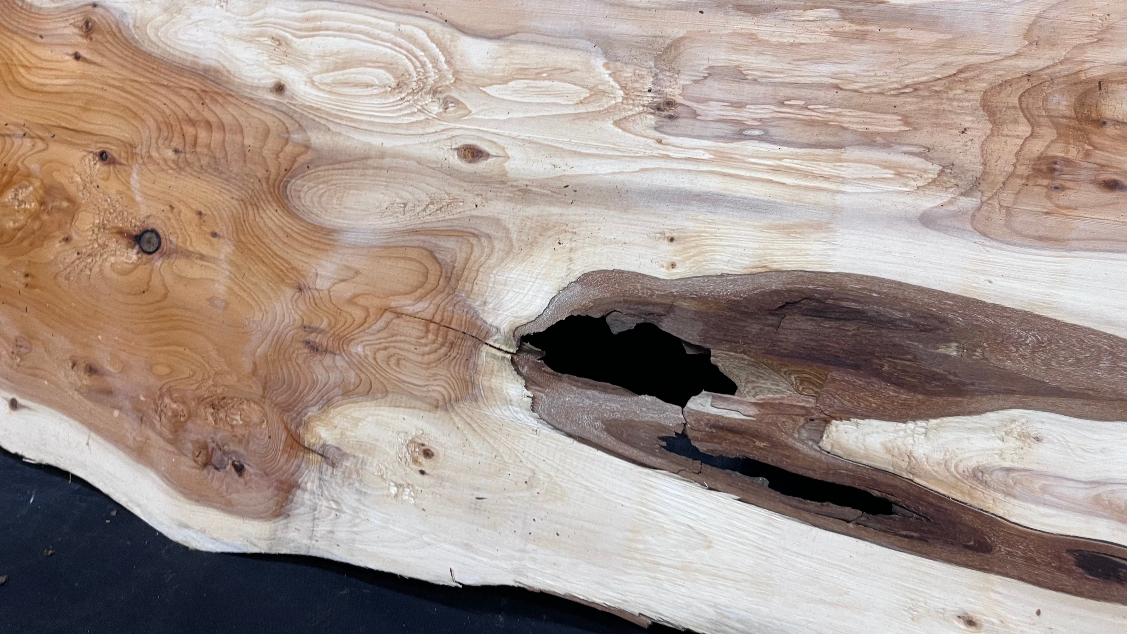 Yew, resin project, slab, board, block 1215 L x 335 W x 40 D mm    (513)