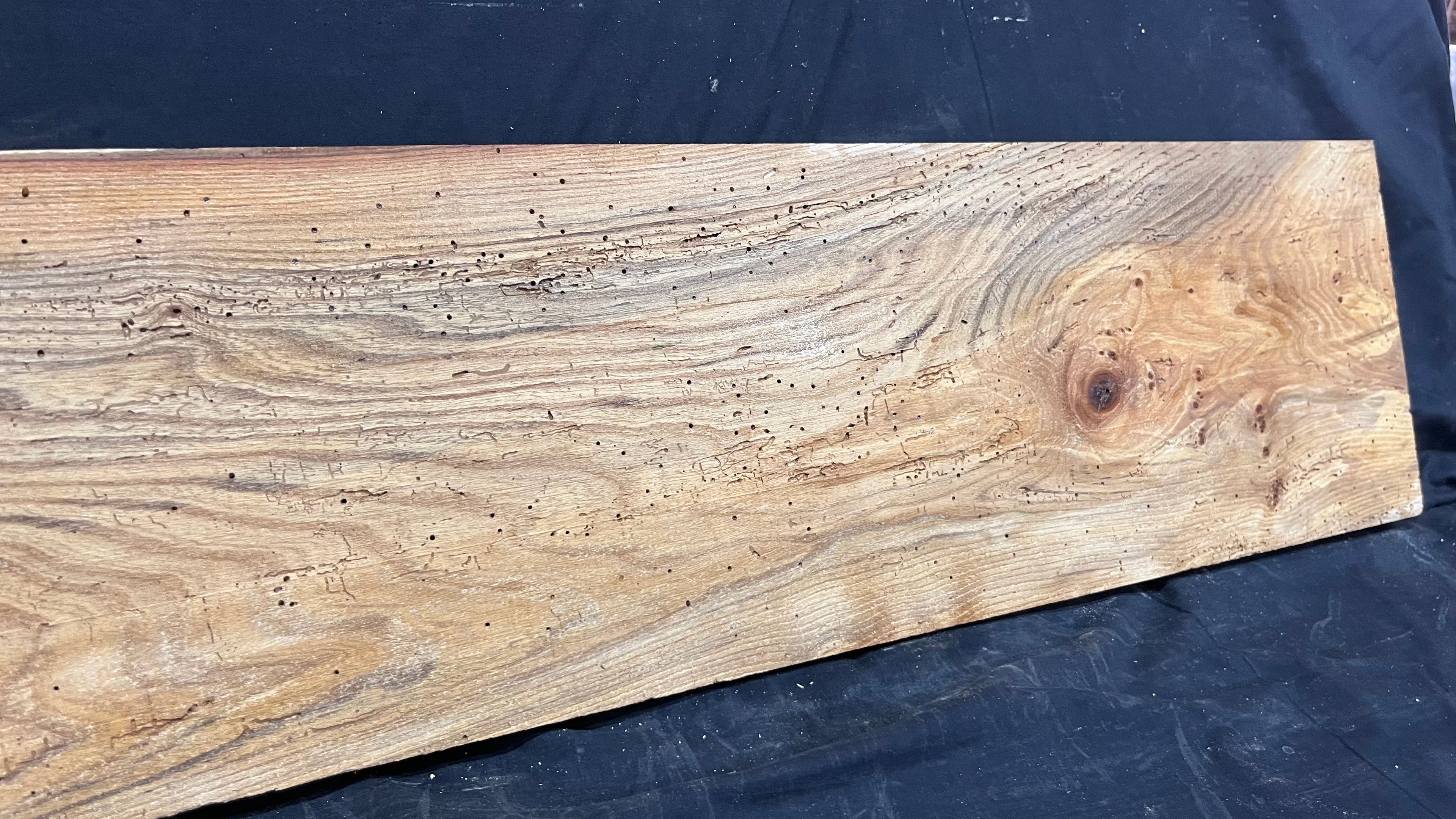 Elm reclaimed, plank, 1633 L x 238 W x 39 D mm    (mt516)