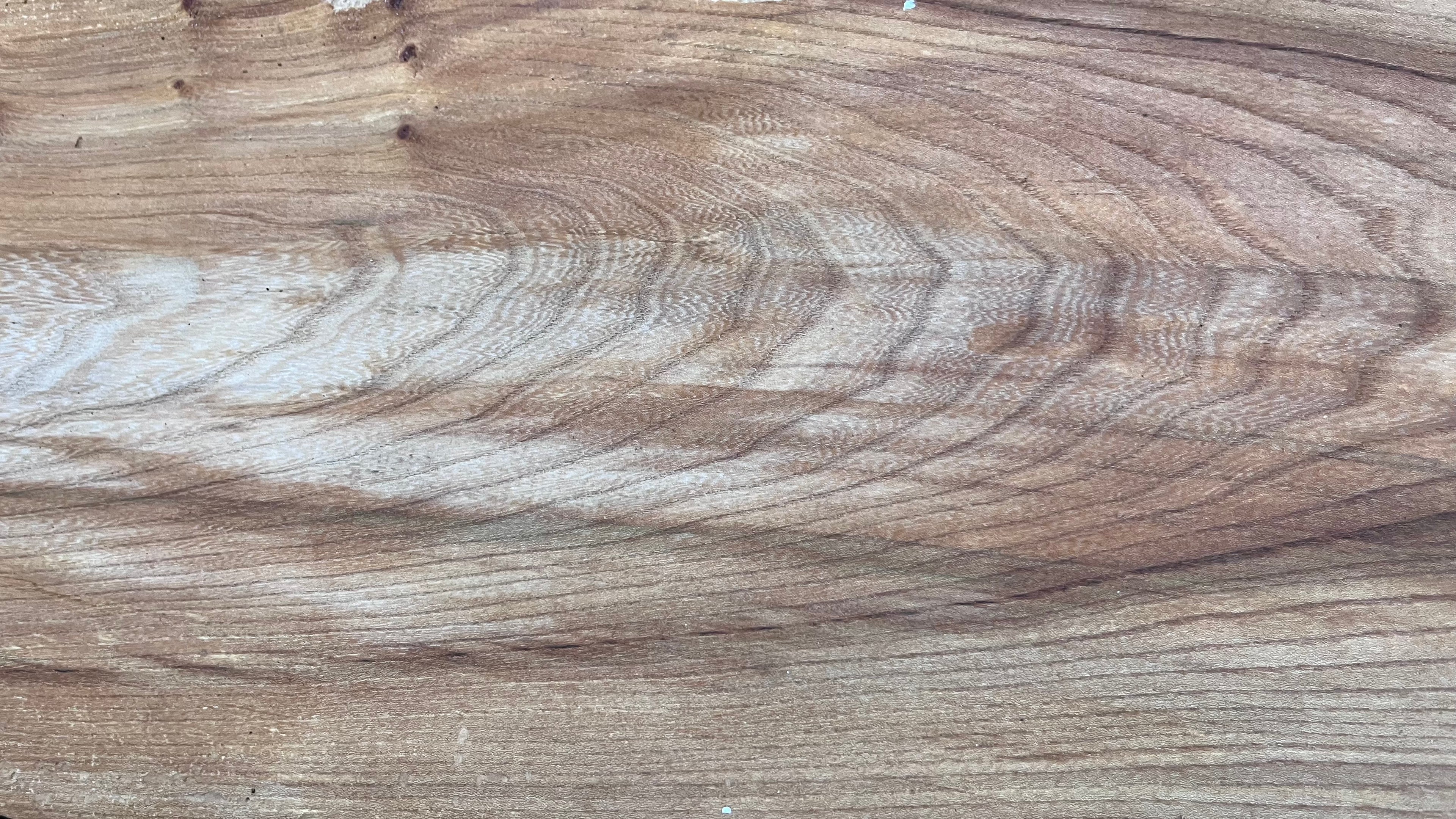 Elm reclaimed, plank, 1633 L x 238 W x 39 D mm    (mt516)