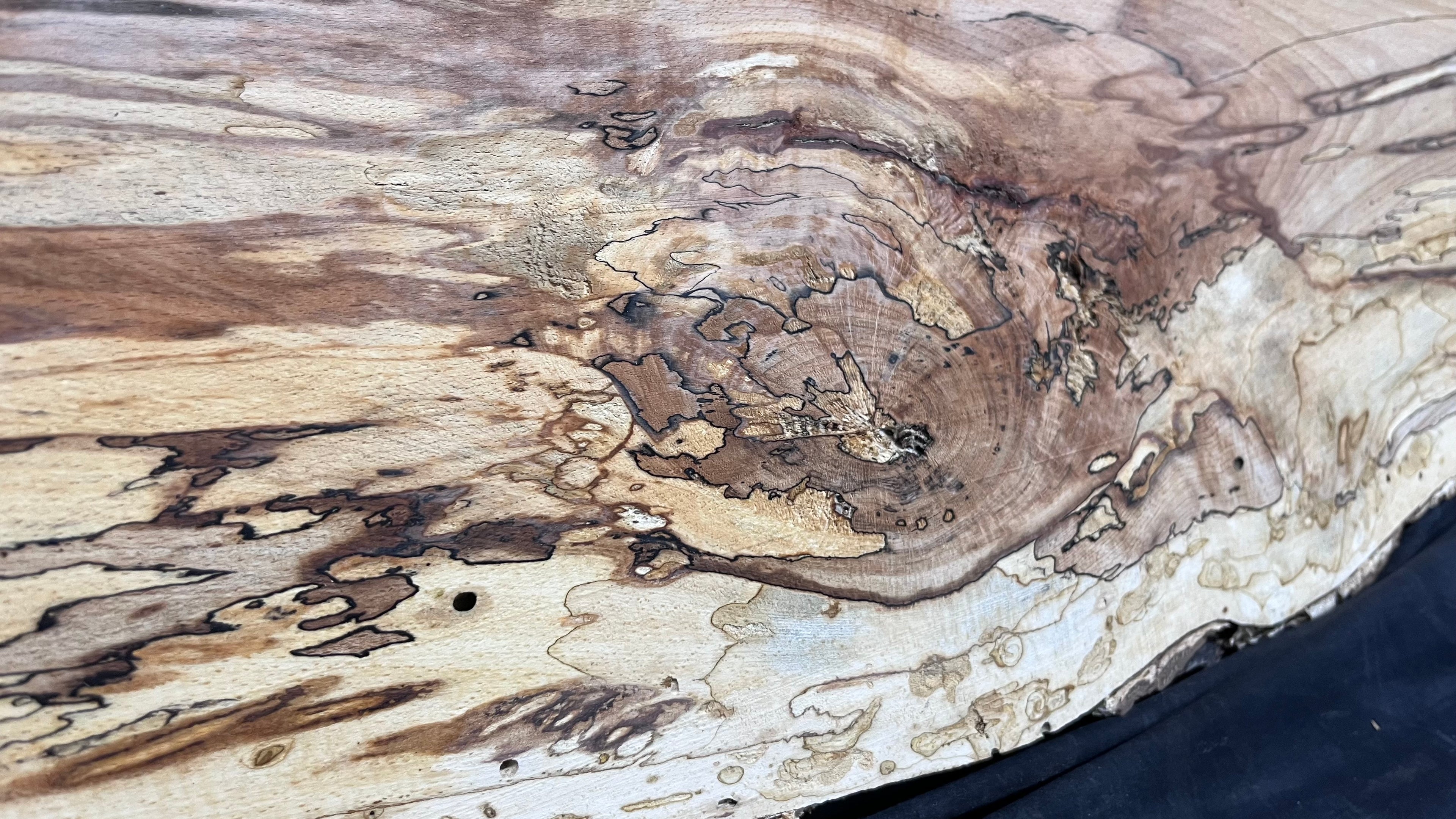 Spalted beech wood turning, tone wood, mantle 1405 L x 290 W x 51 D mm    (518)