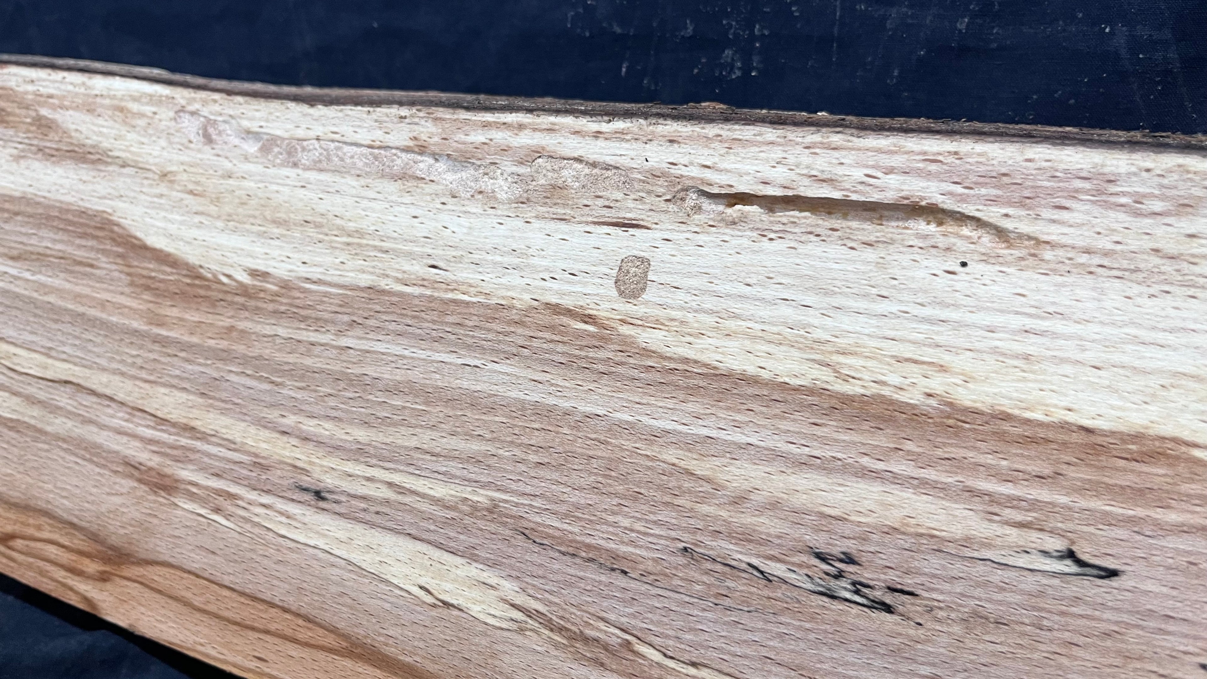 Spalted beech wood turning, tone wood, mantle 1341 L x 187 W x 46 D mm    (519)