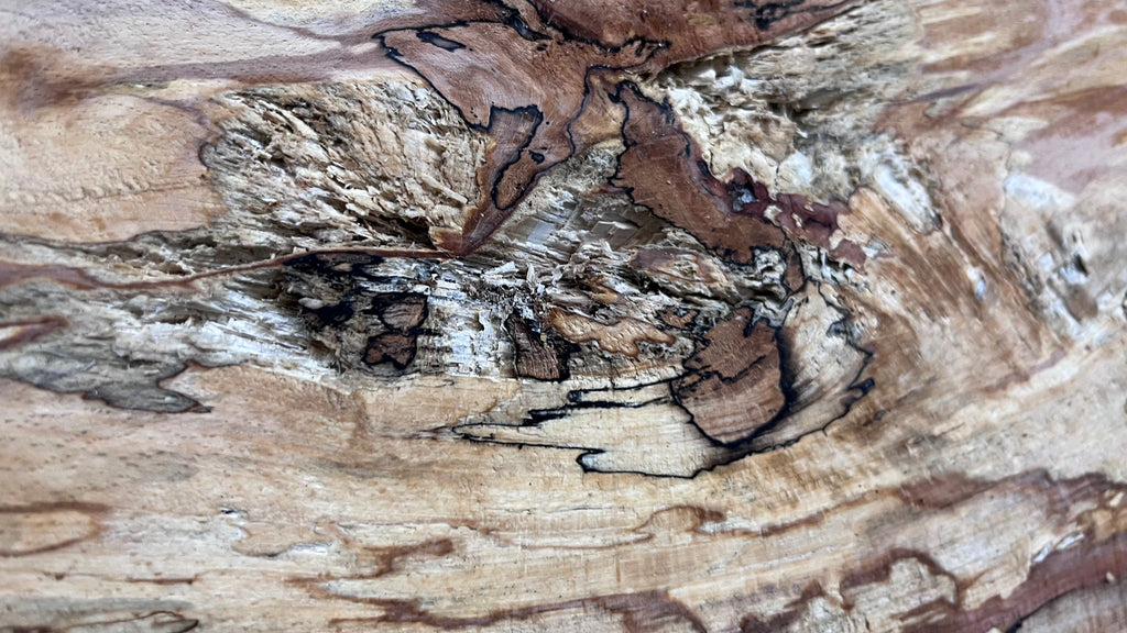 Spalted beech wood turning, tone wood, mantle 1400 L x 285 W x 48 D mm    (521)