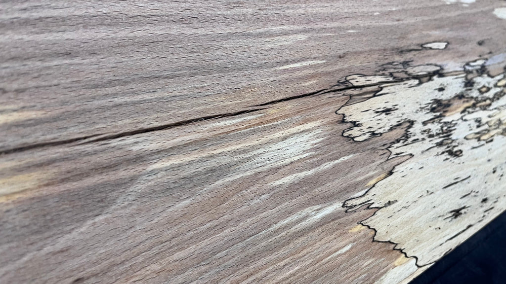 Spalted beech wood turning, tone wood, mantle 1349 L x 274 W x 43 D mm    (523)